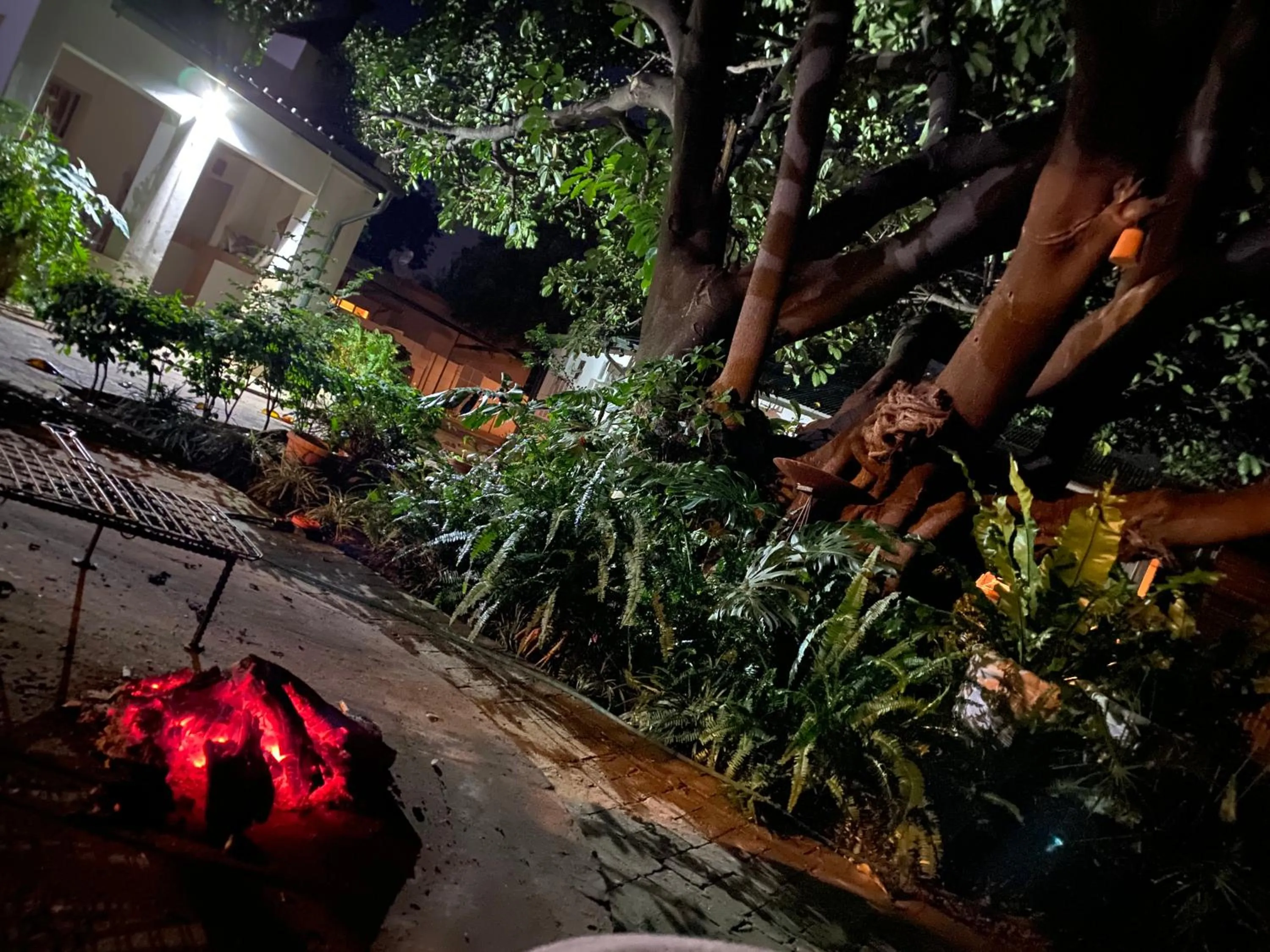 Garden in La Bella B&B Under The Fig Tree