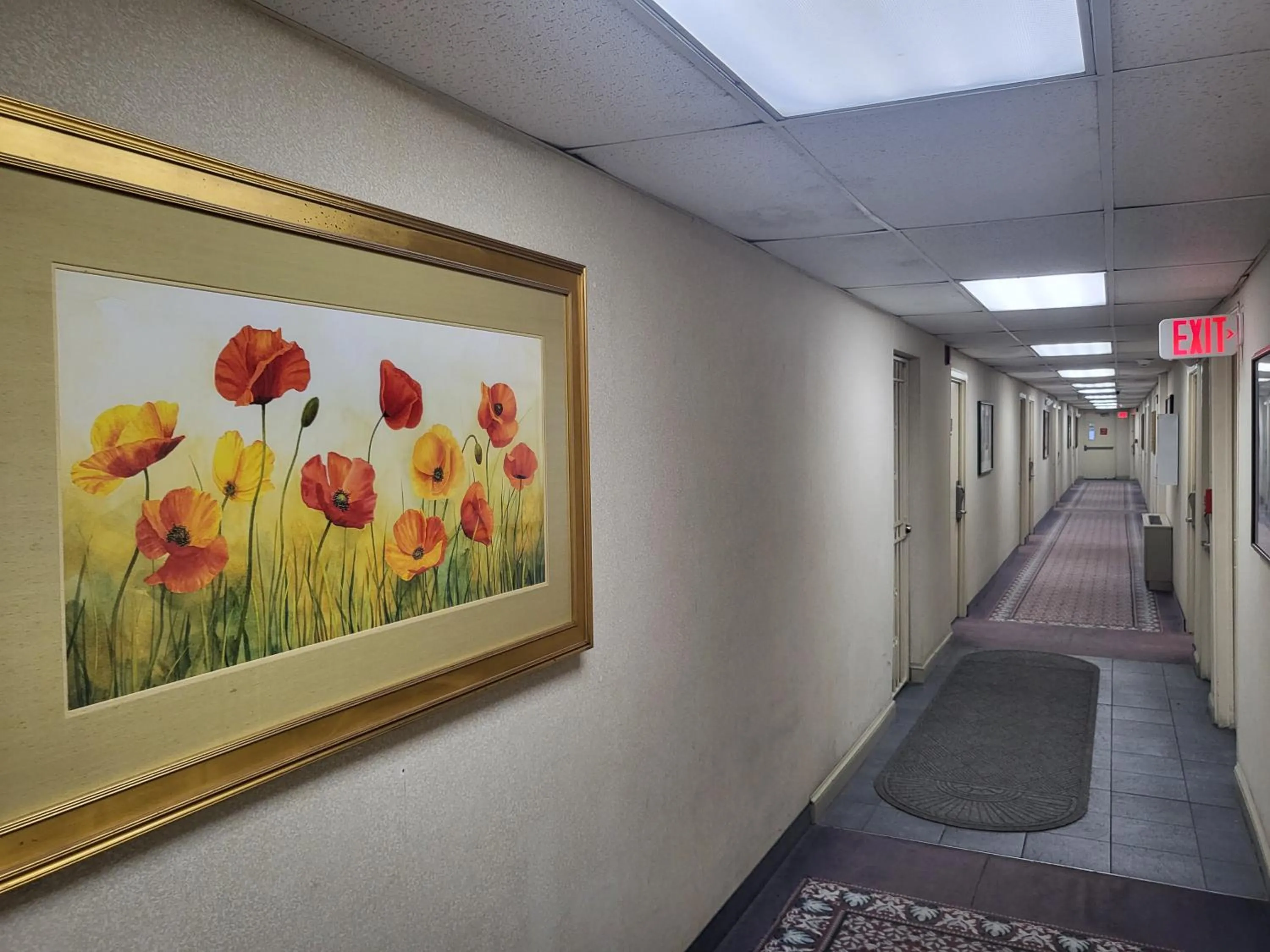 View (from property/room) in Roosevelt Inn at Roosevelt Blvd, Philadelphia, PA