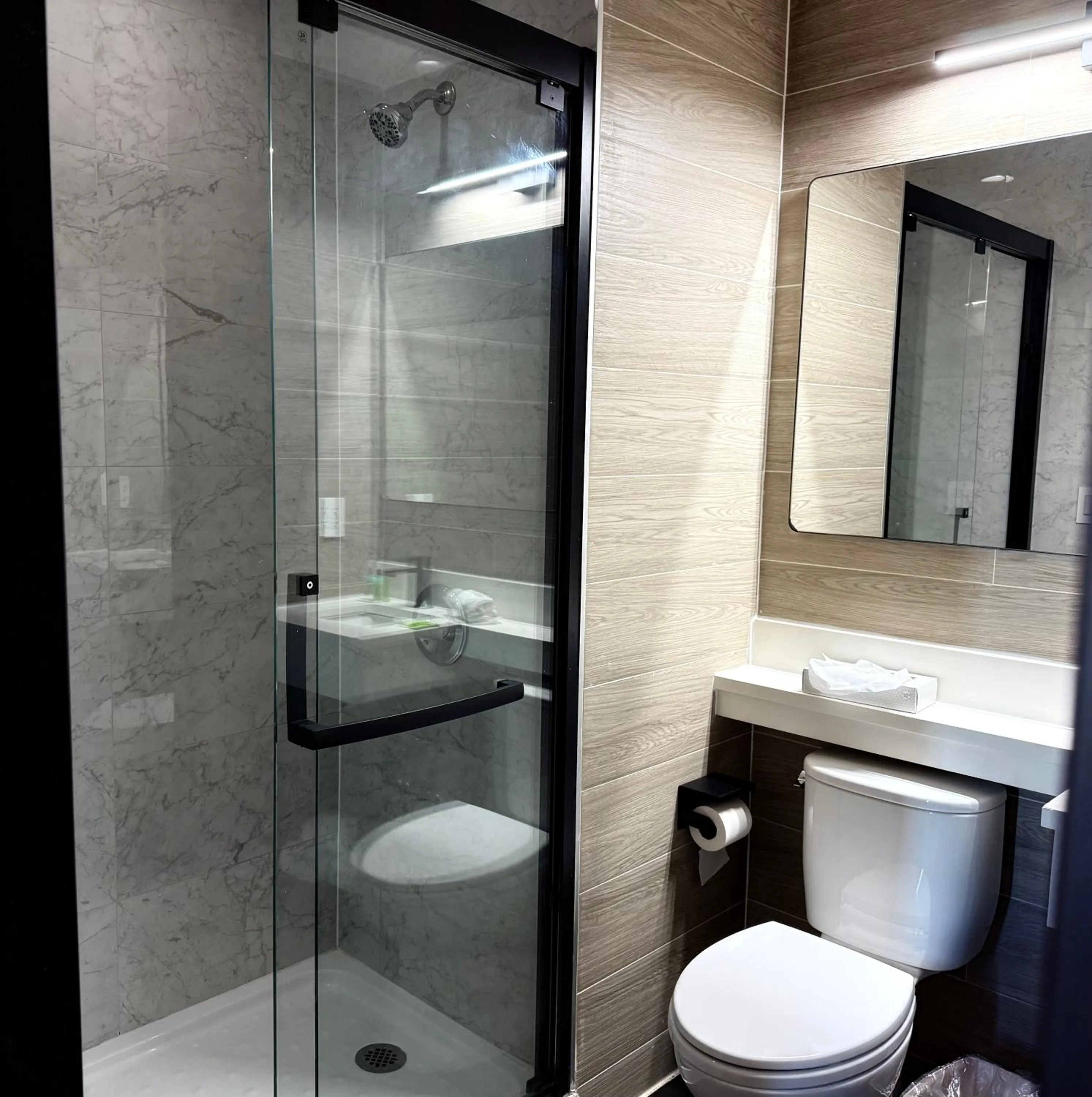 Toilet in Bkway Hotel Brooklyn