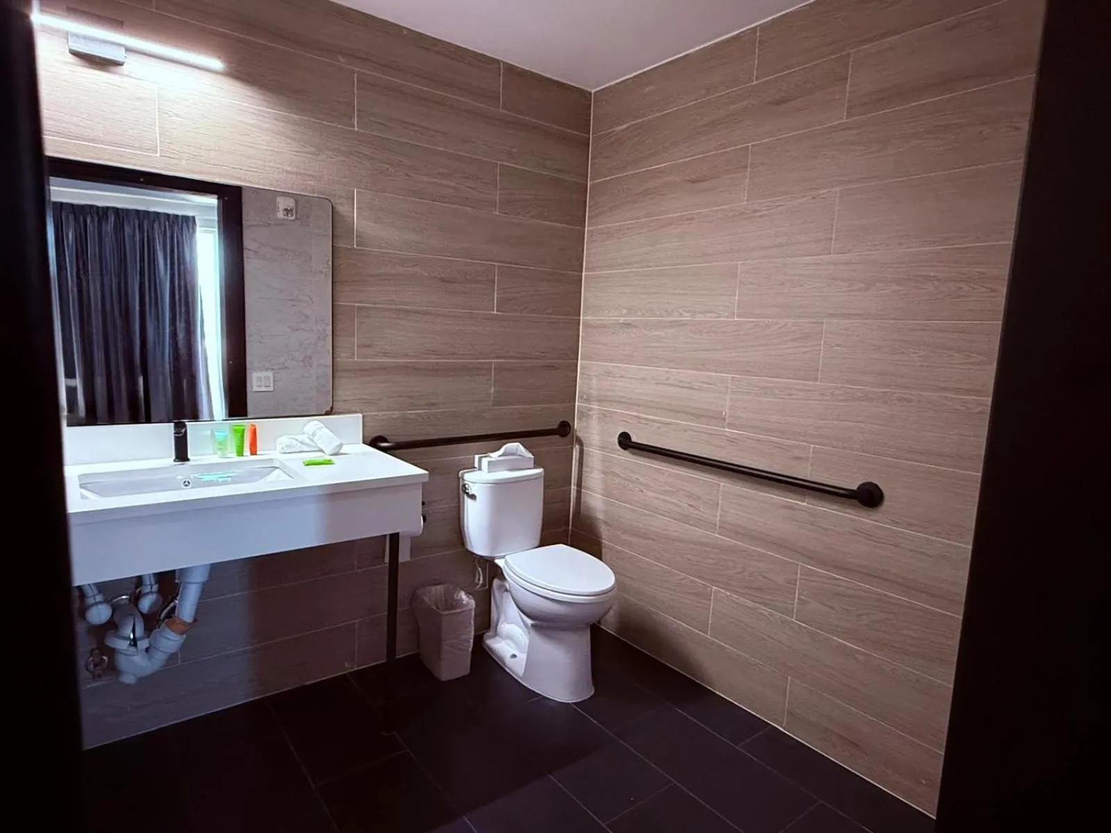 Toilet in Bkway Hotel Brooklyn