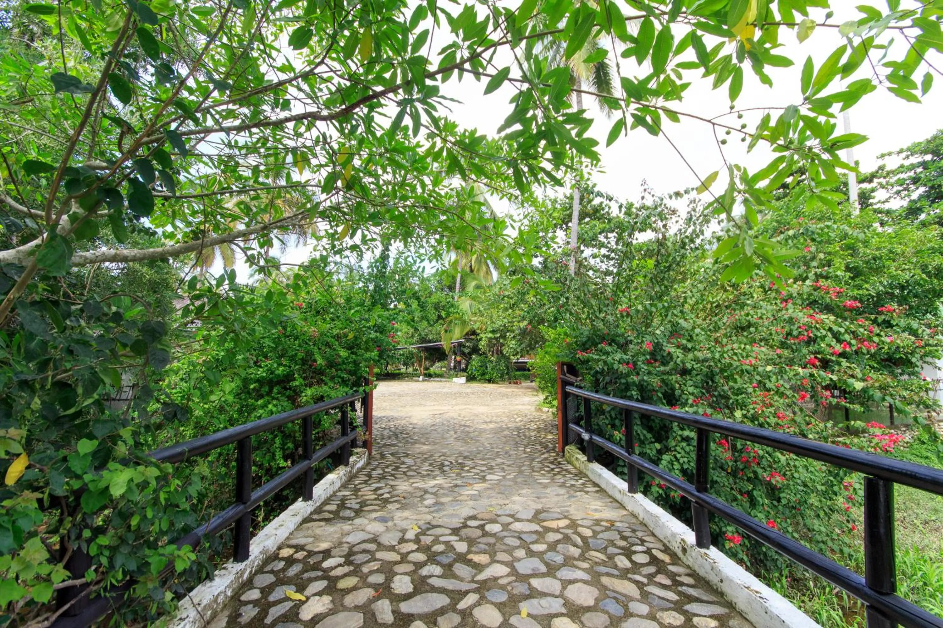 Garden in La Mar de Bien