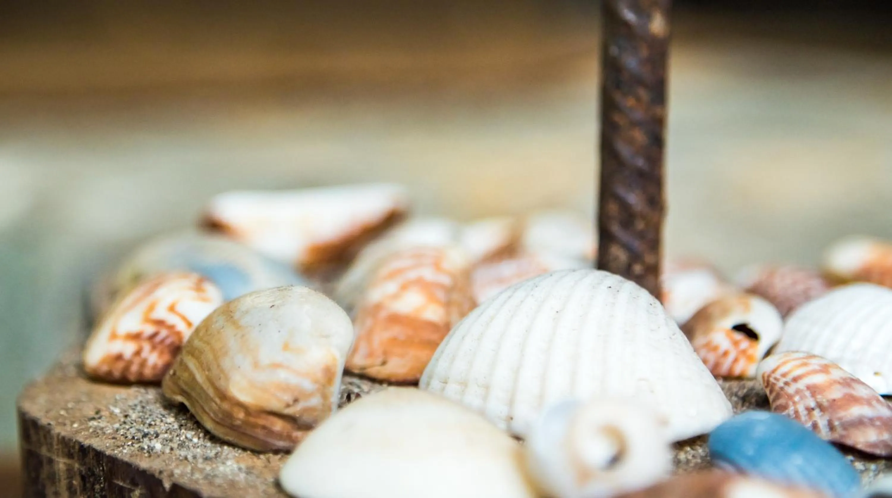 Area and facilities in La Mar de Bien