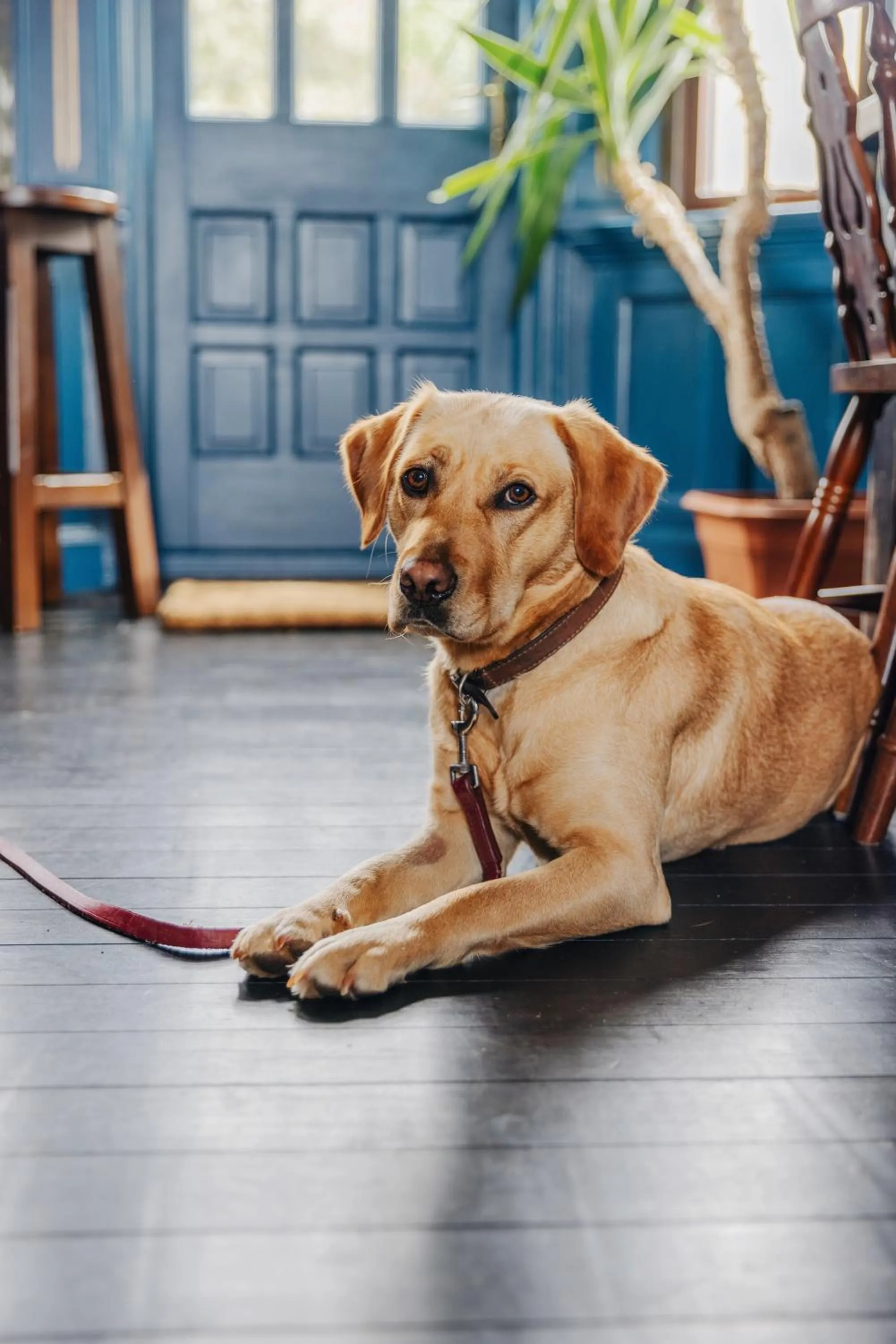 Inn at Port nan Gael