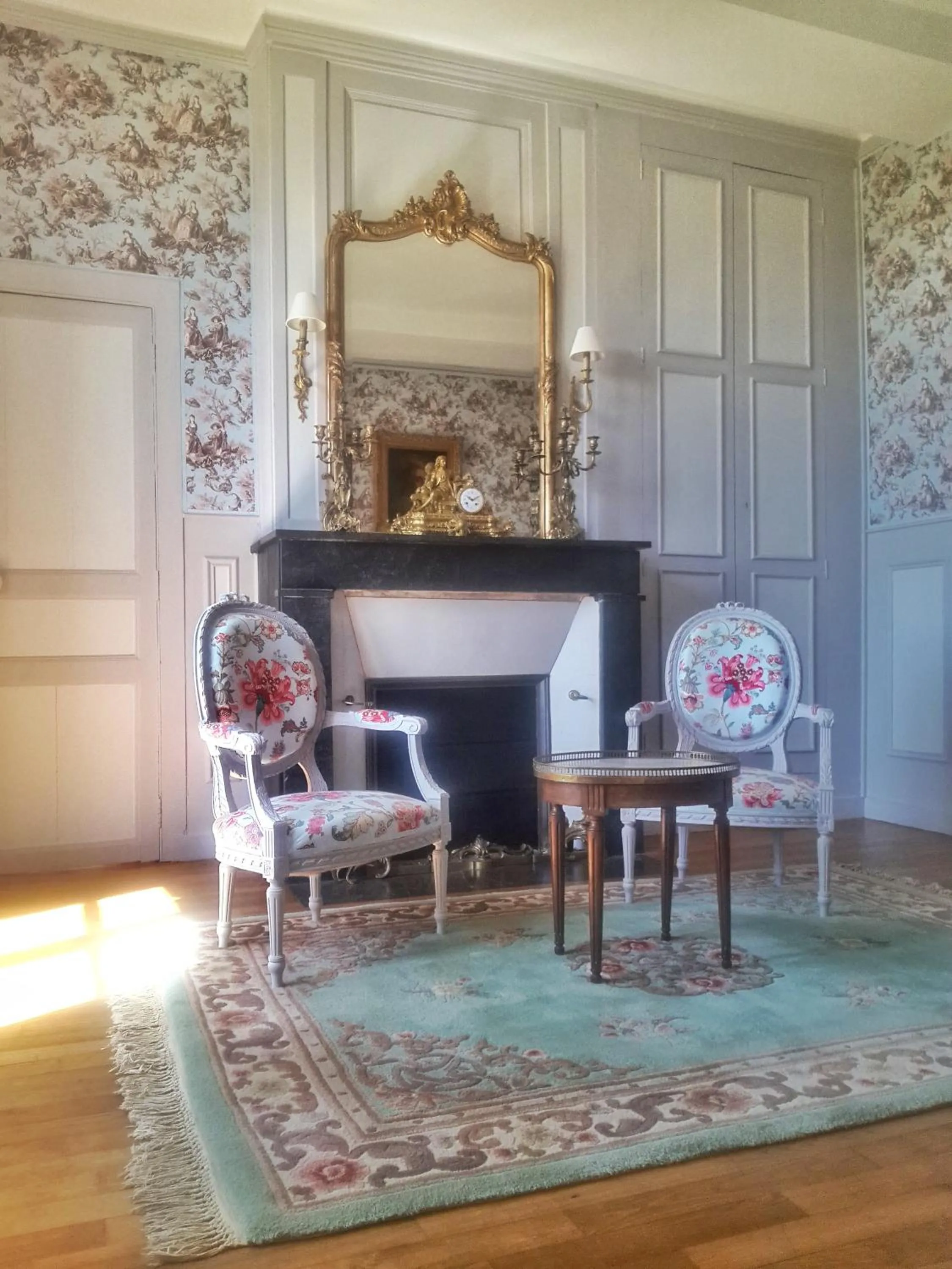Living room in Château de Chantore