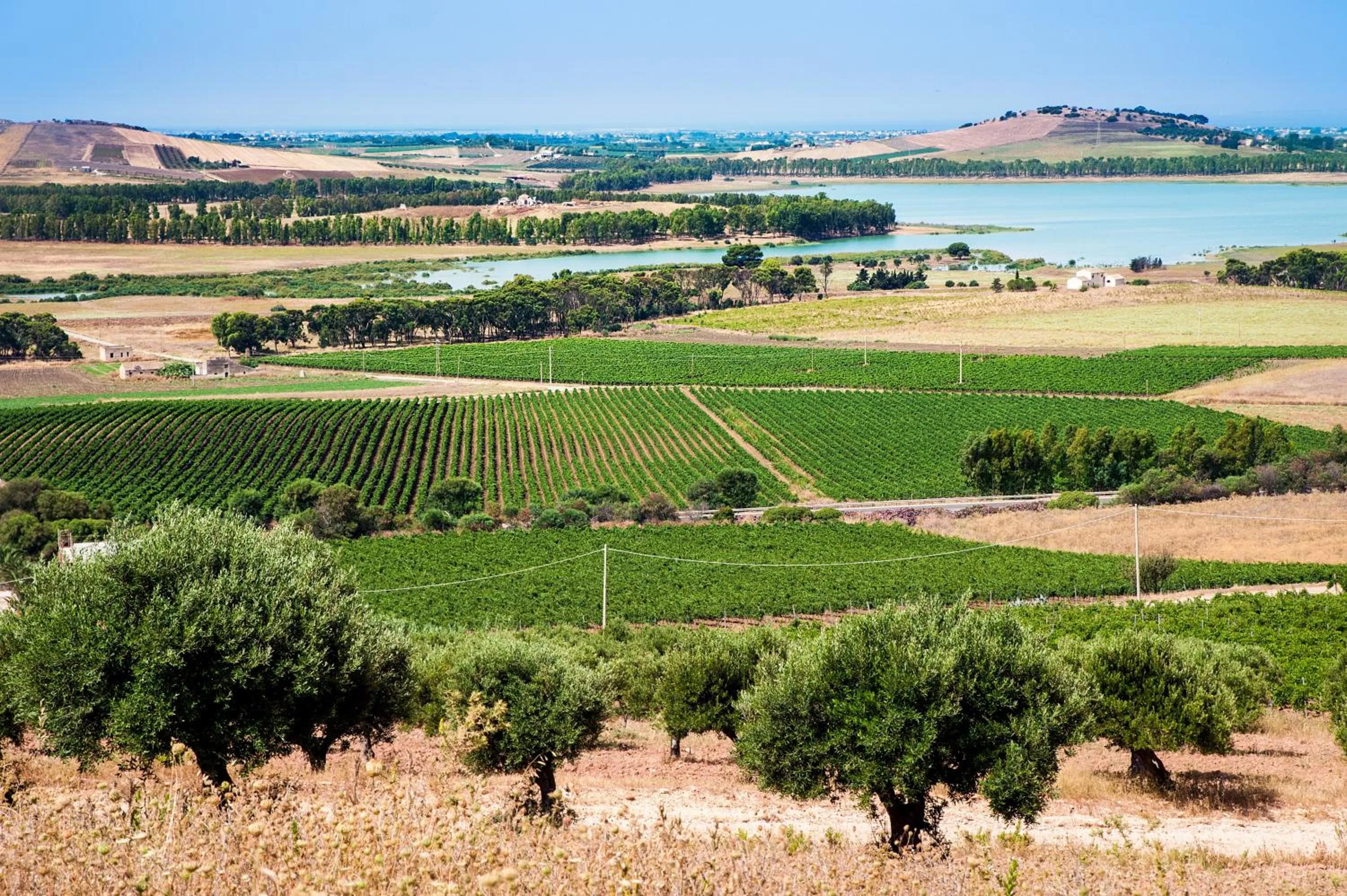 View (from property/room) in Firriato Hospitality - Baglio Sorìa