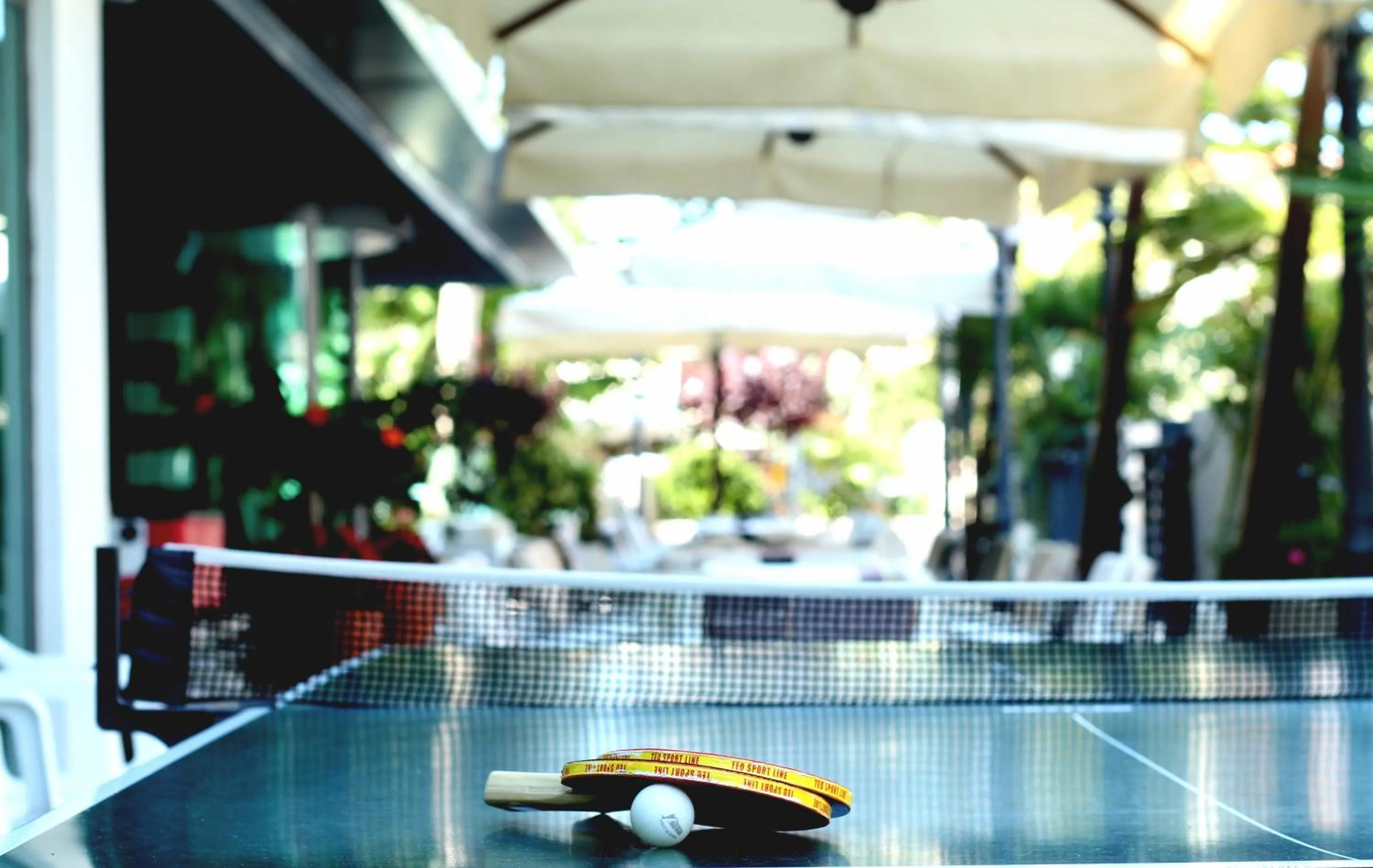Table tennis in Hotel Verona