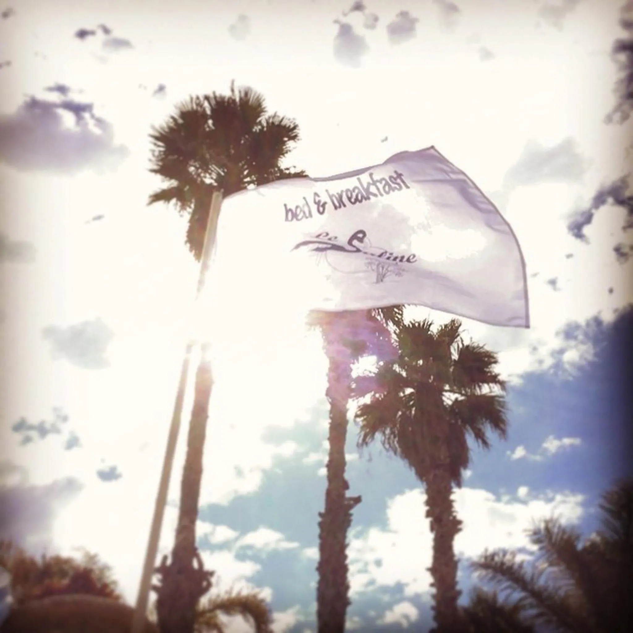 Decorative detail in B&B Le Saline