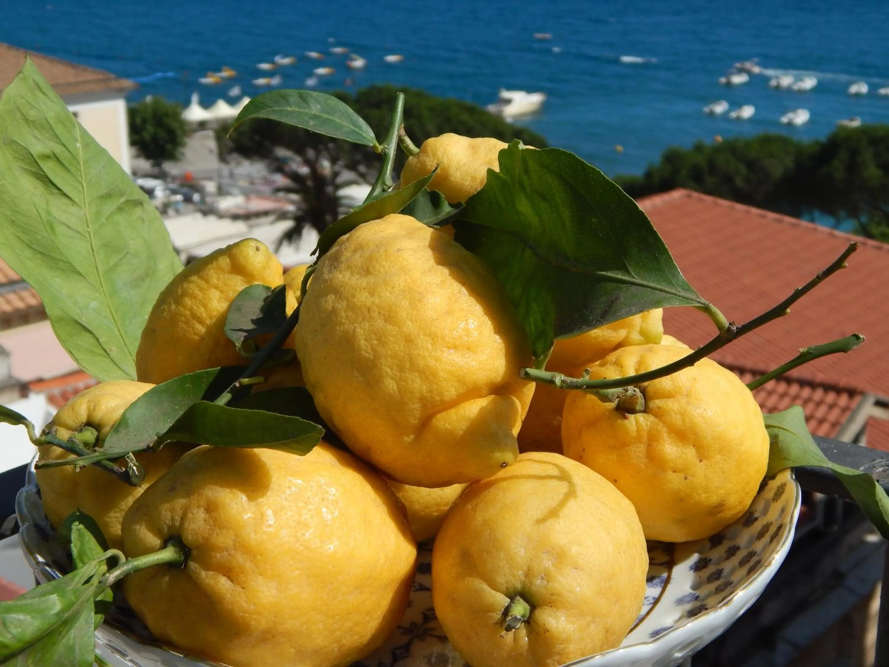 Breakfast in Riviera B&B Rooms