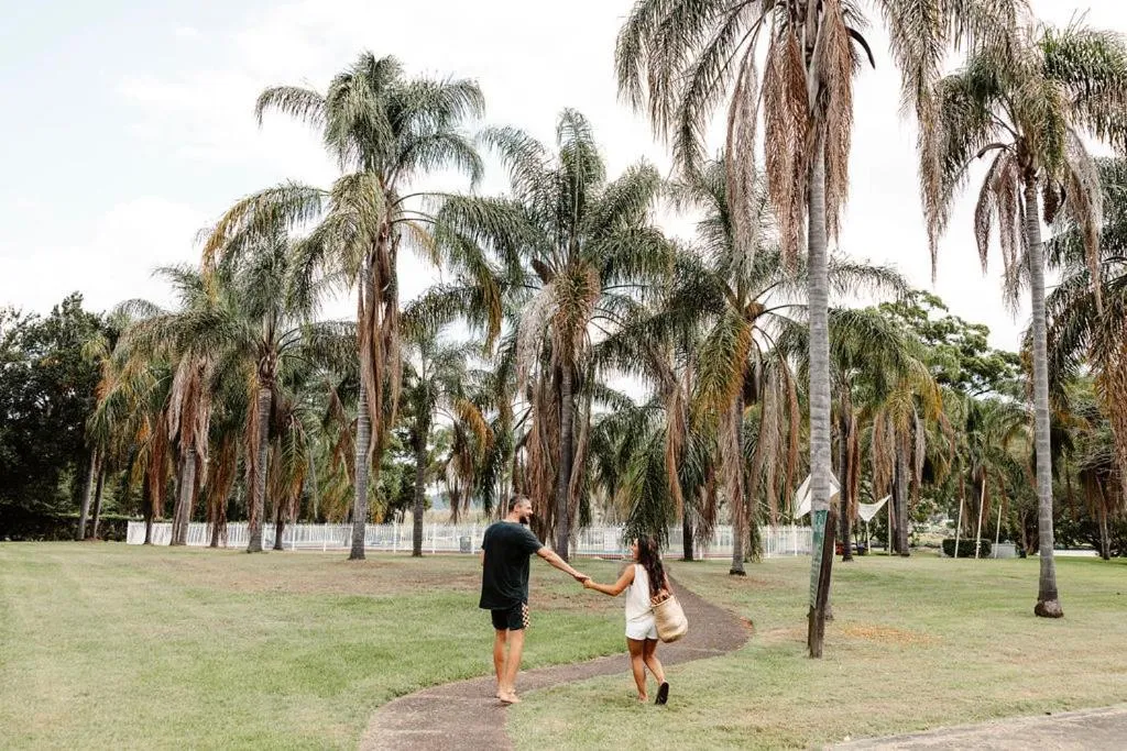 Garden in Wisemans Retreat