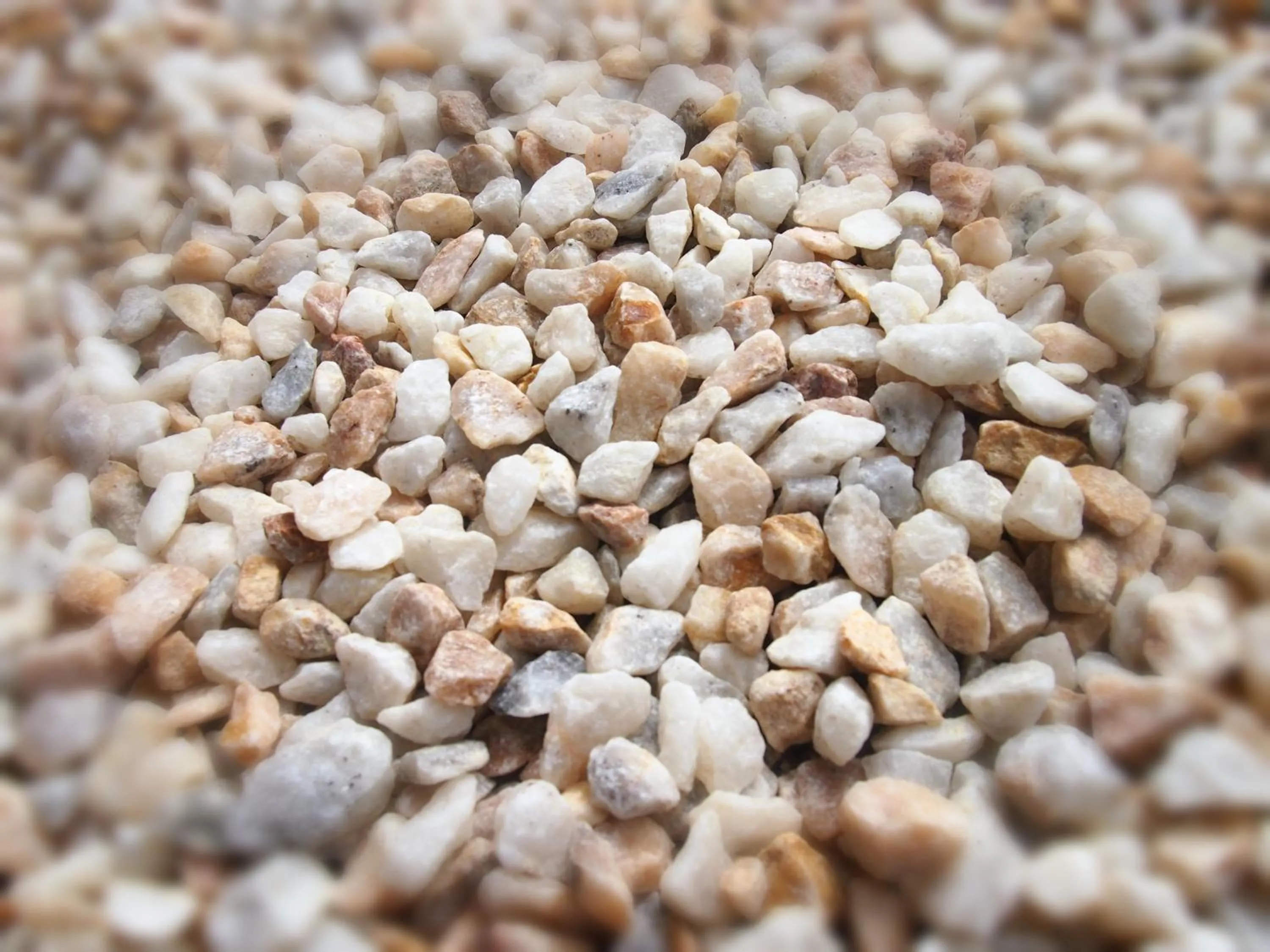 Property building in Siesta Central Apartments