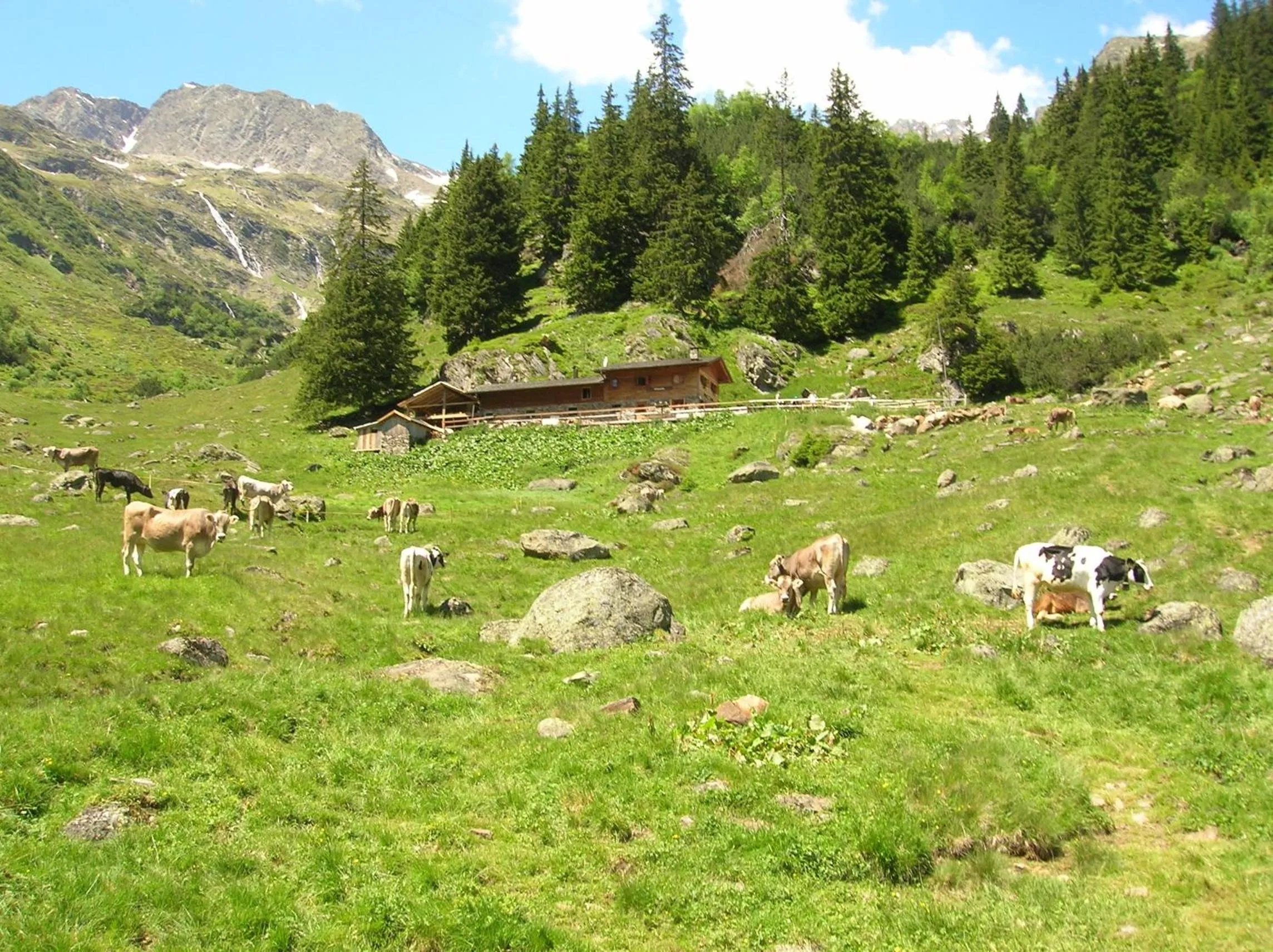 Natural landscape in Hotel Arcobaleno