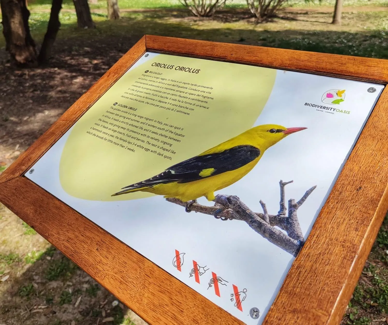 Day in Green Village Eco Resort