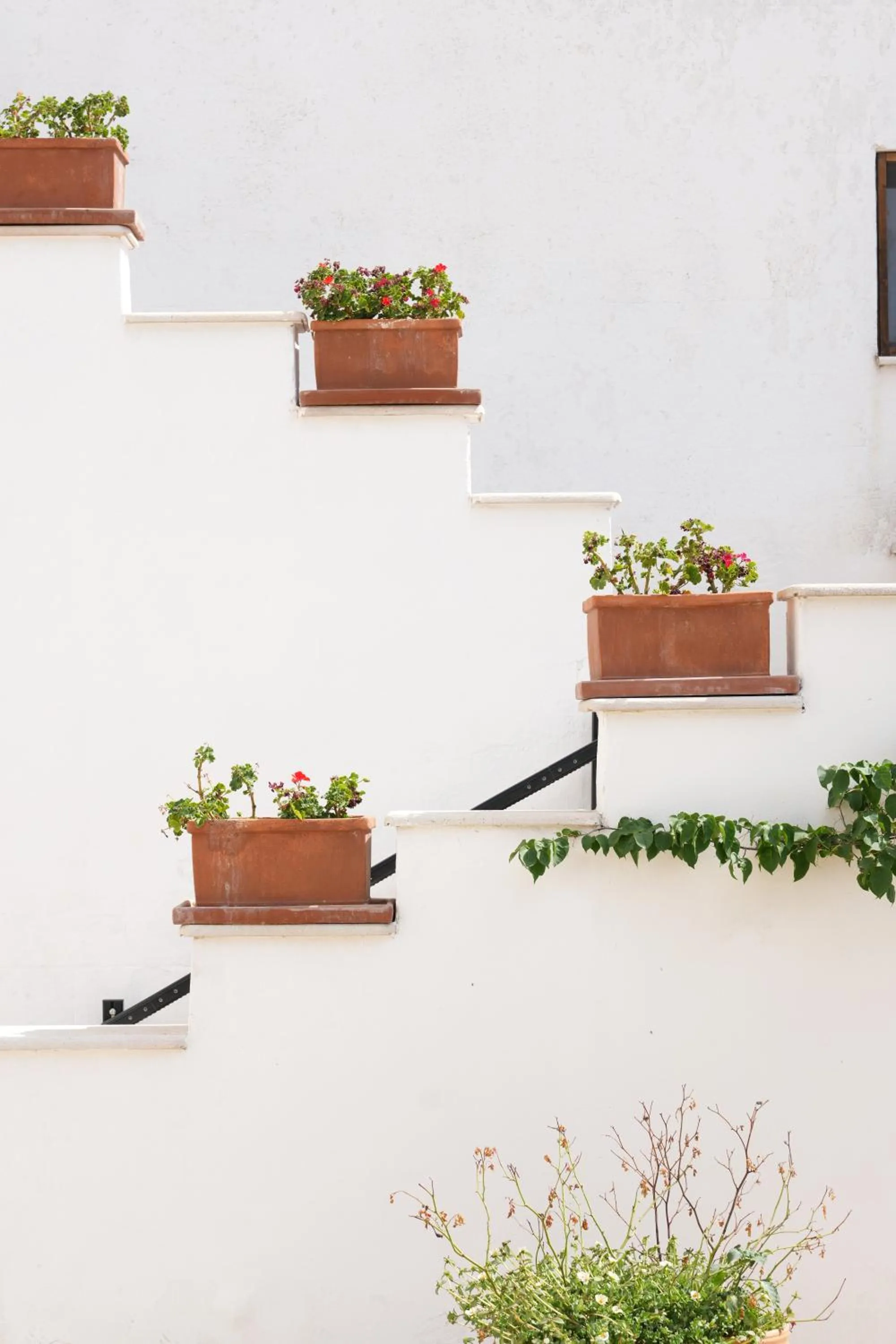 Garden in Tenuta del Barco WineRestaurant and Hospitality
