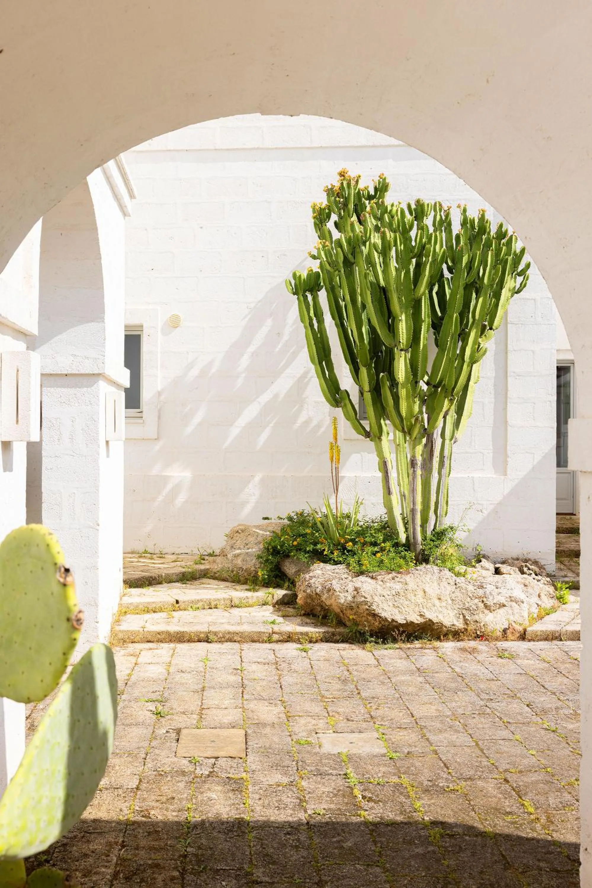 View (from property/room) in Masseria San Francesco