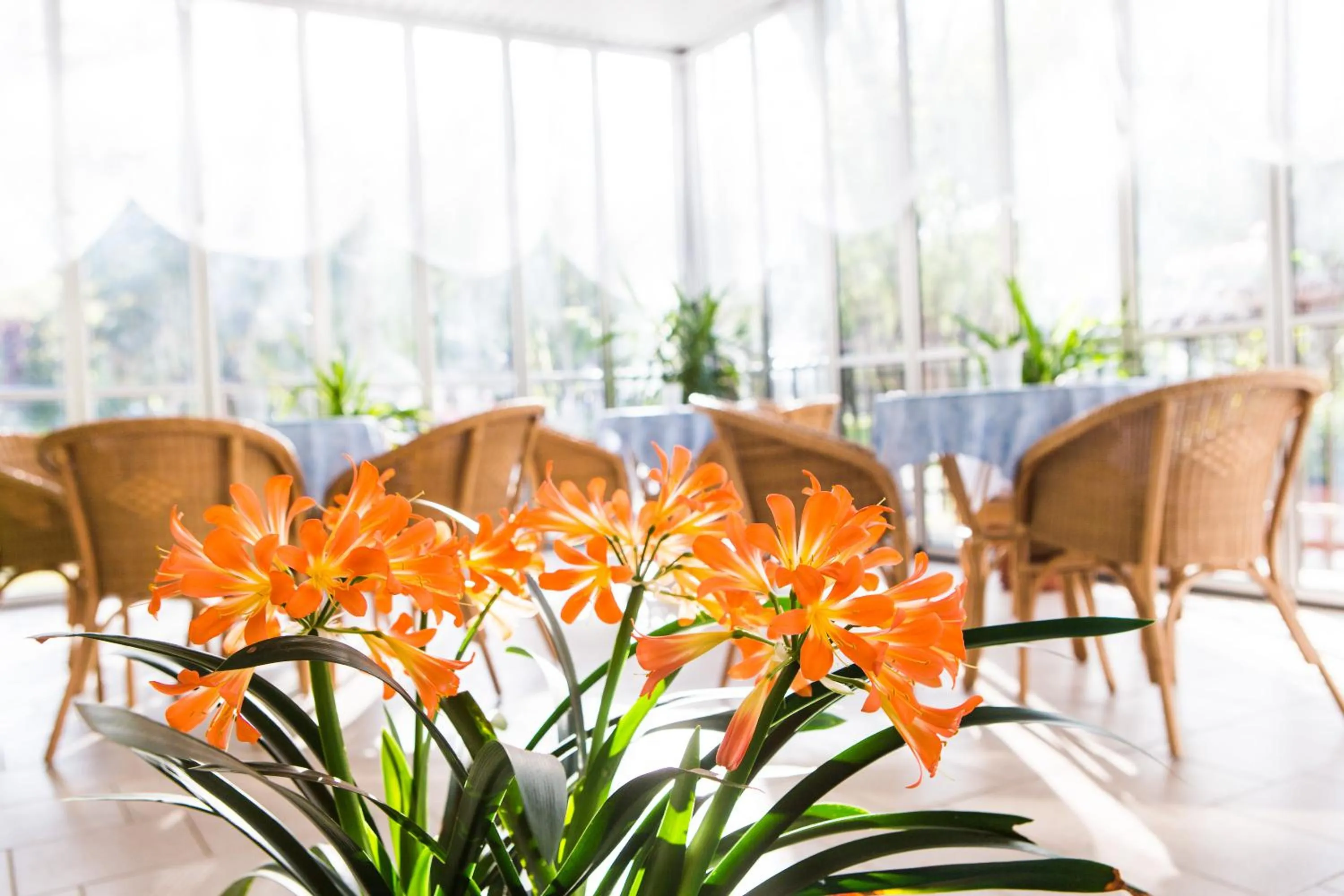 Day in Hotel Majorca