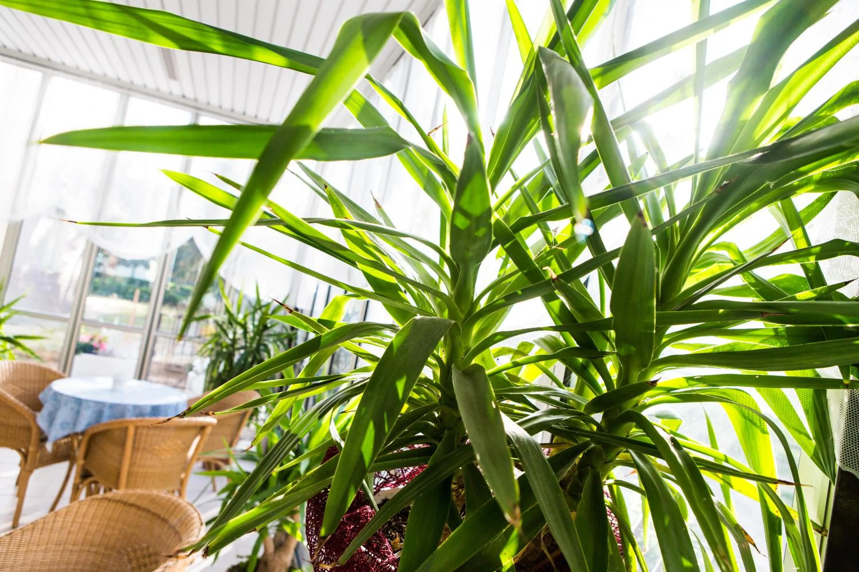 Other in Hotel Majorca