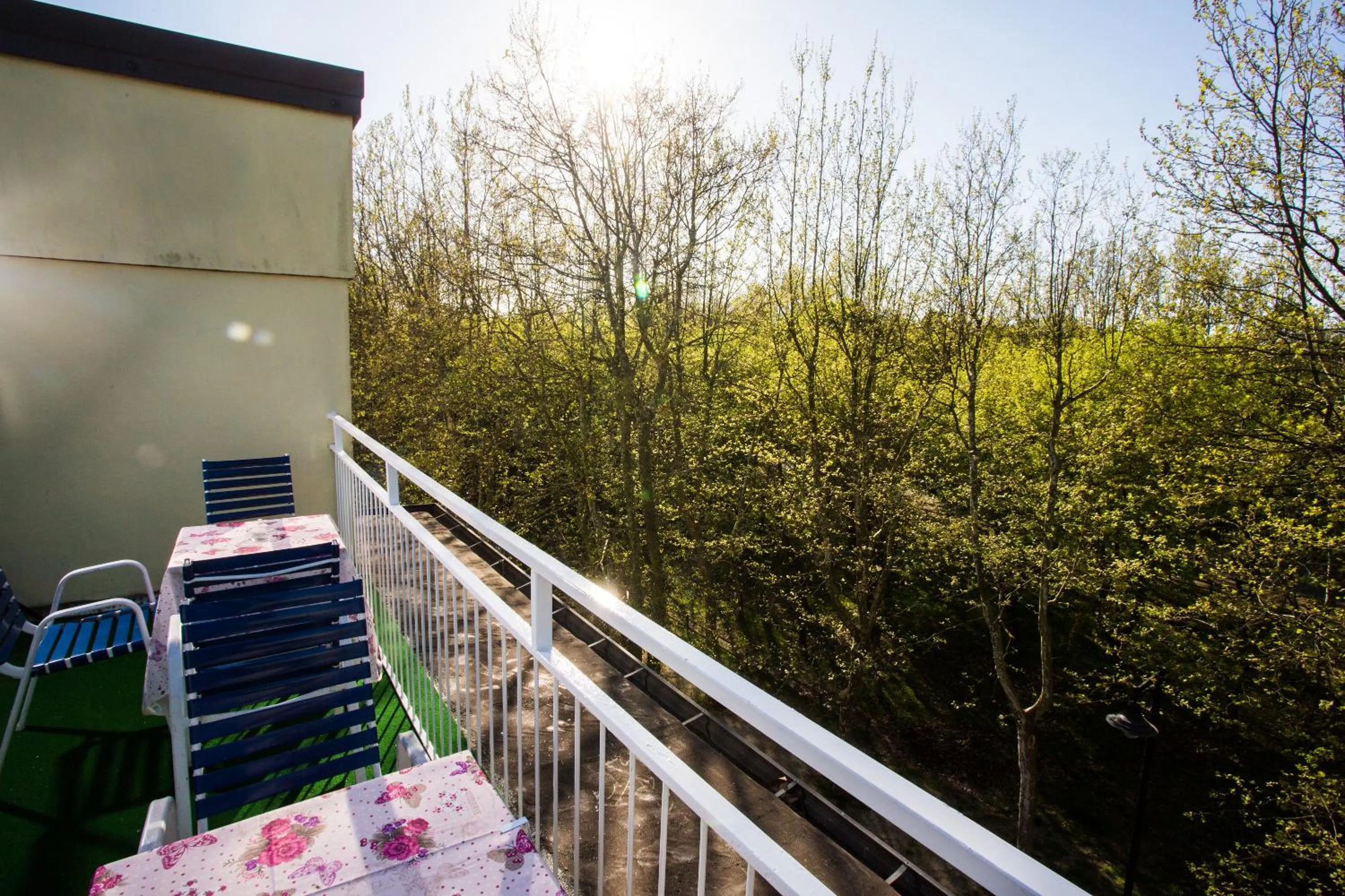 Day in Hotel Majorca