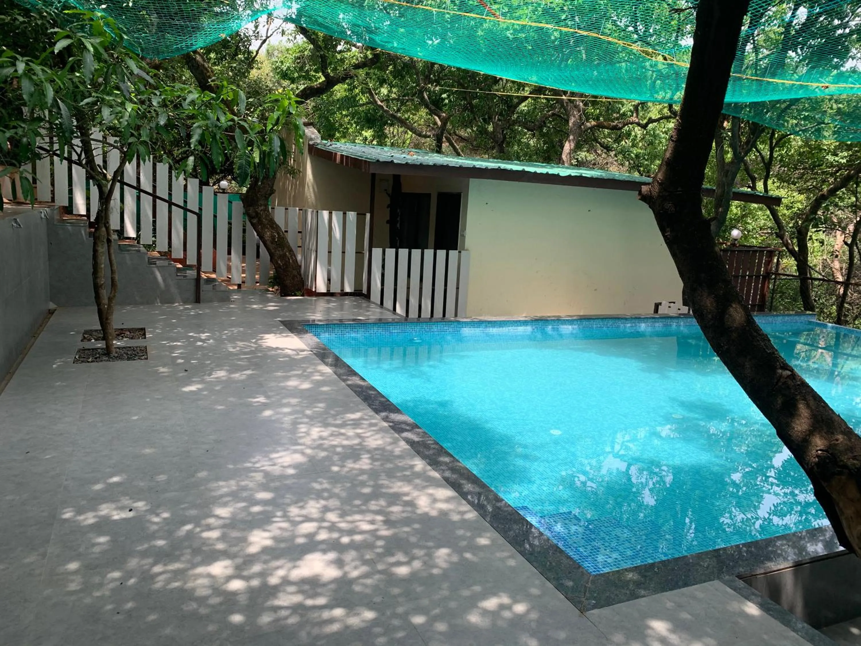 Swimming pool in Honeywood Holiday Homes