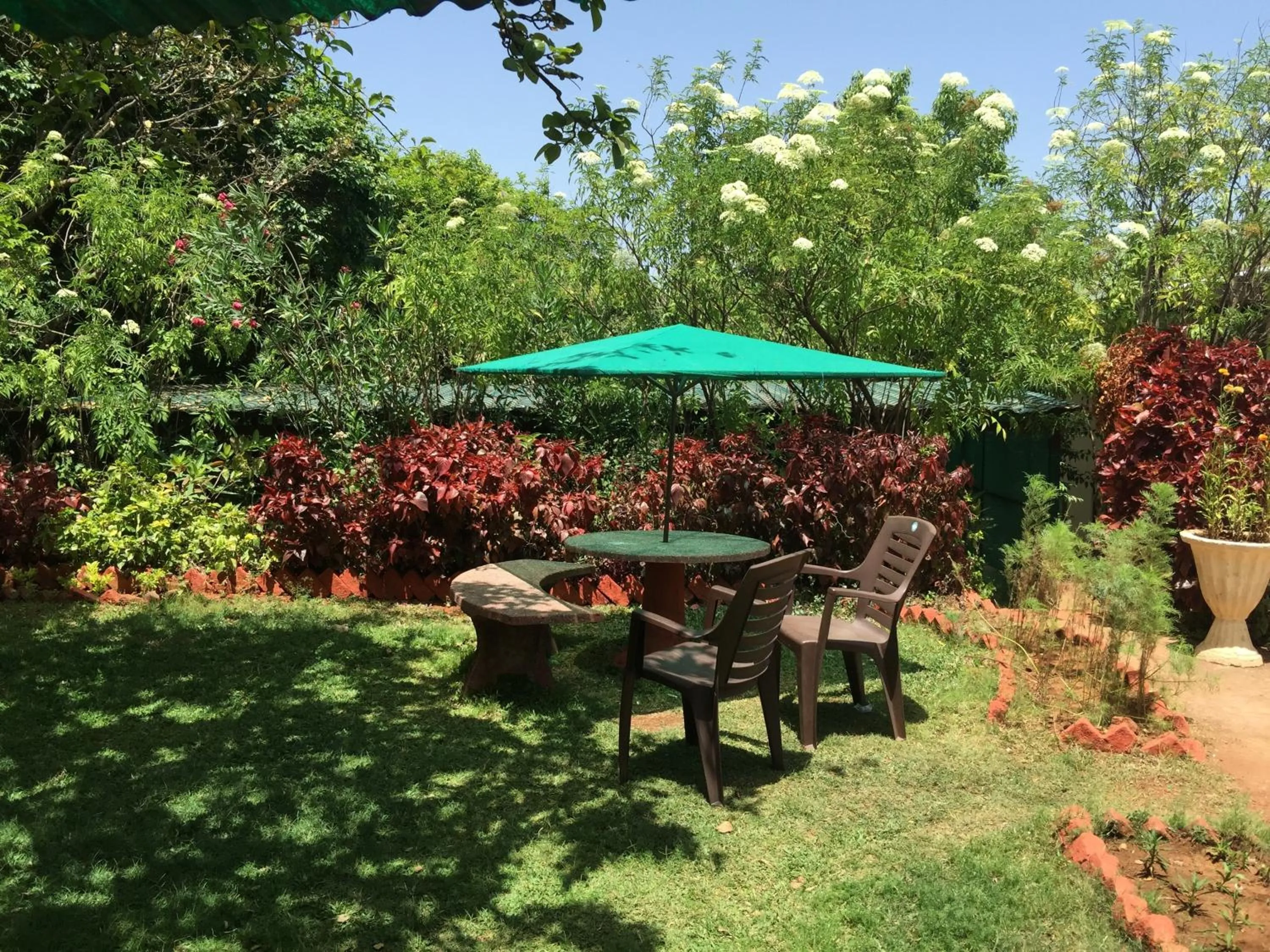 Garden in Honeywood Holiday Homes