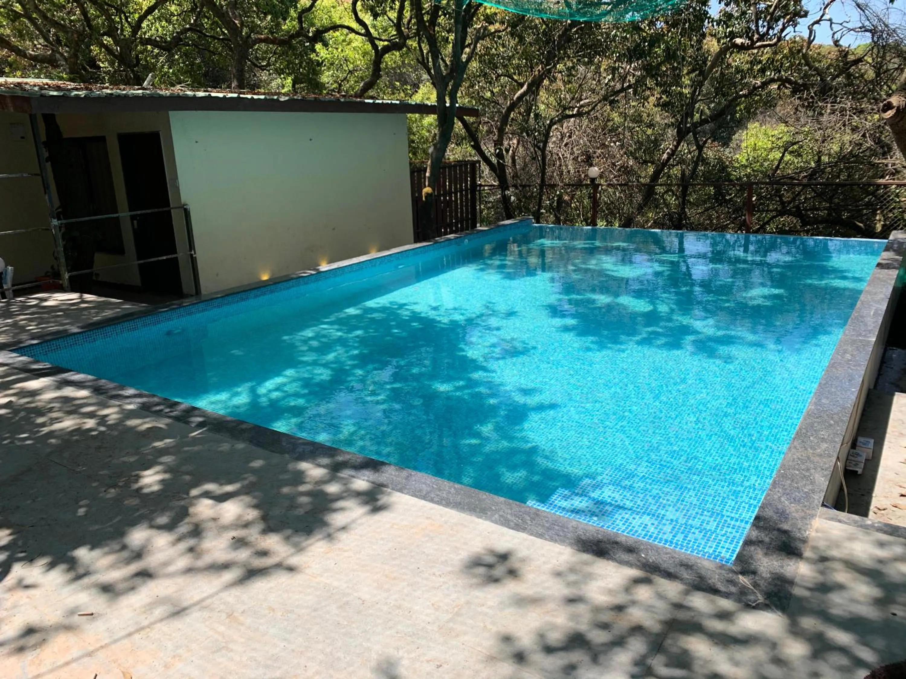Swimming pool in Honeywood Holiday Homes
