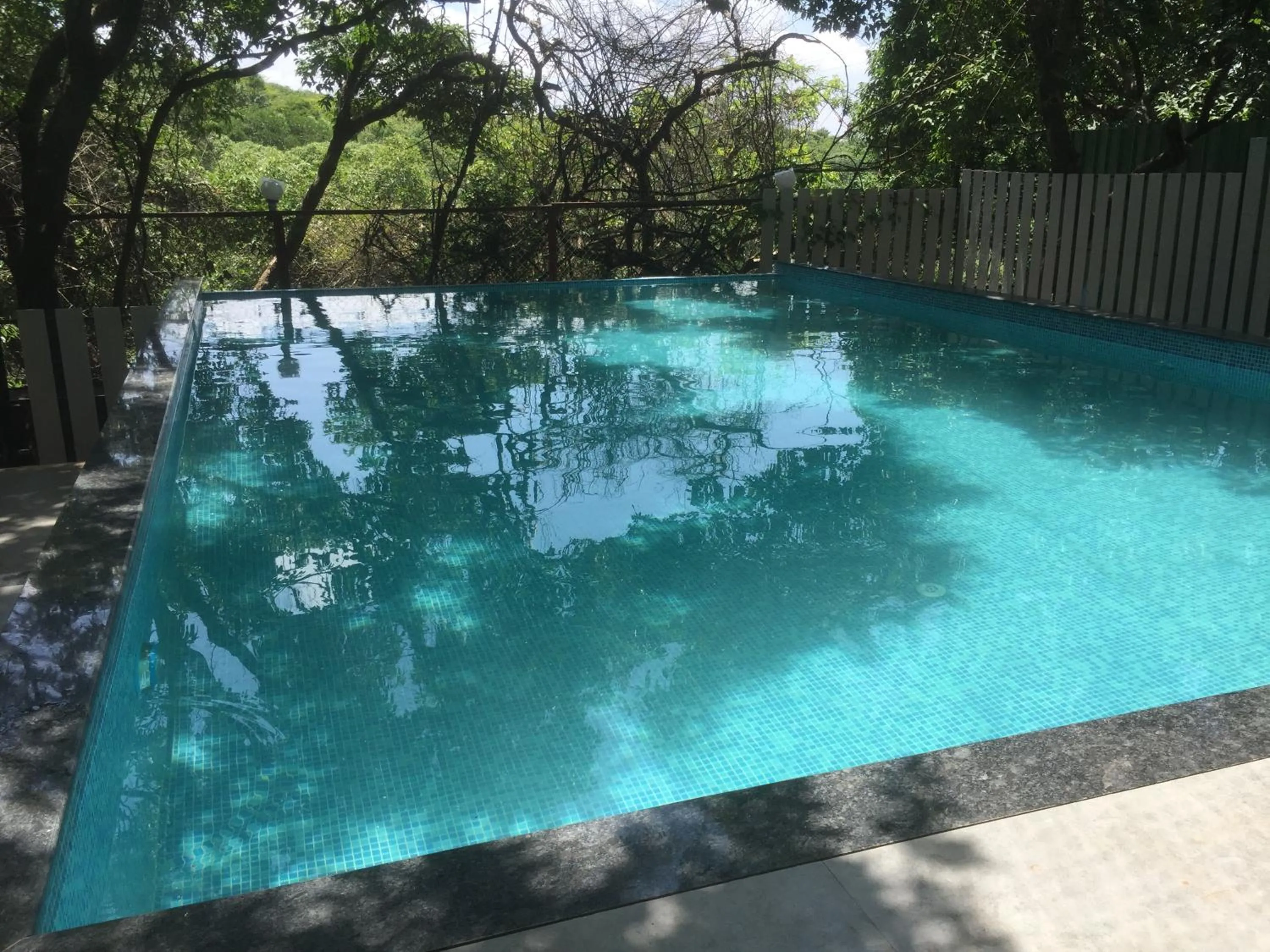 Swimming pool in Honeywood Holiday Homes