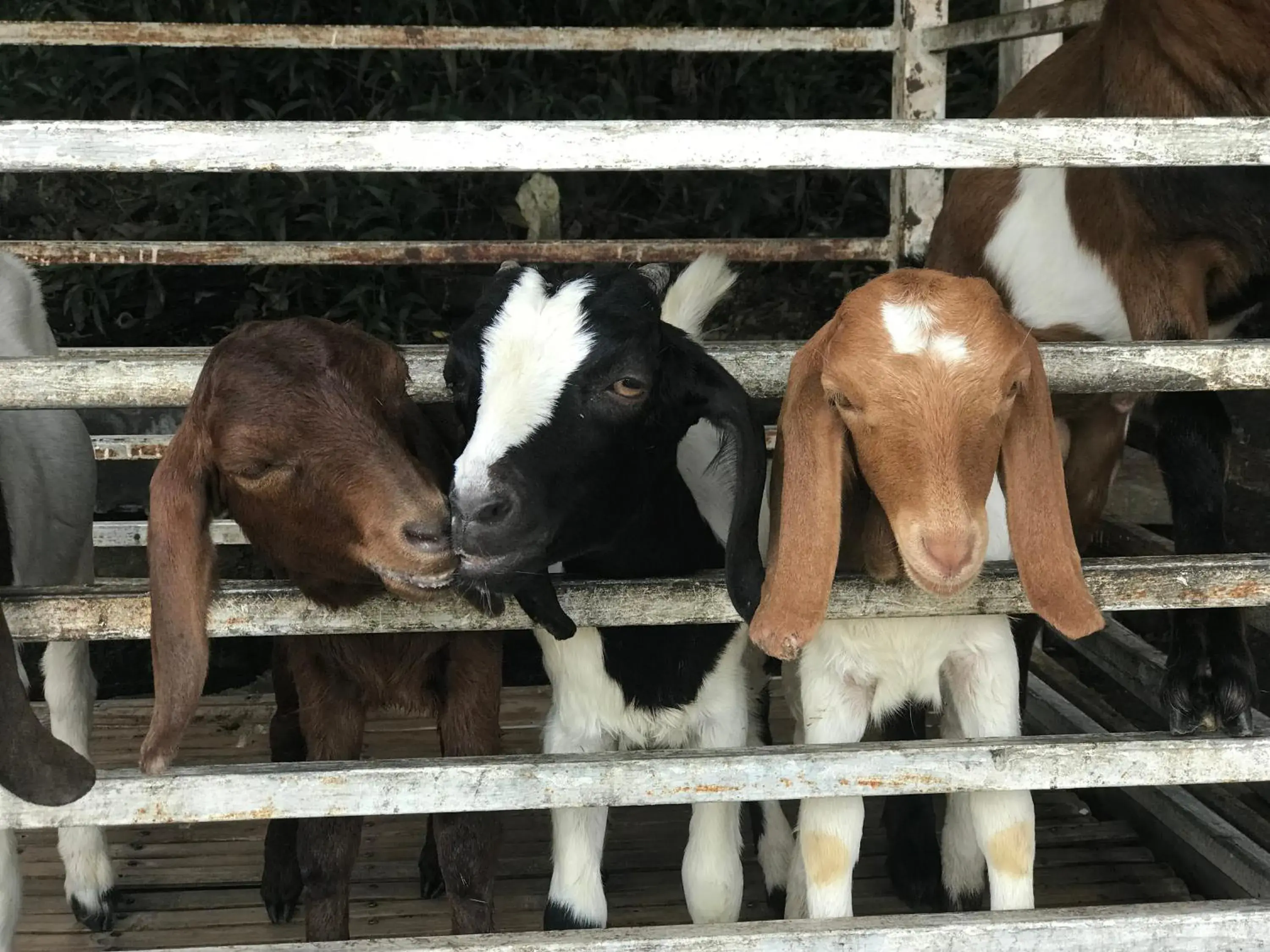 One-Bedroom House in Hua Hin Home Hill One-Bedroom House in Hua Hin Home Hill