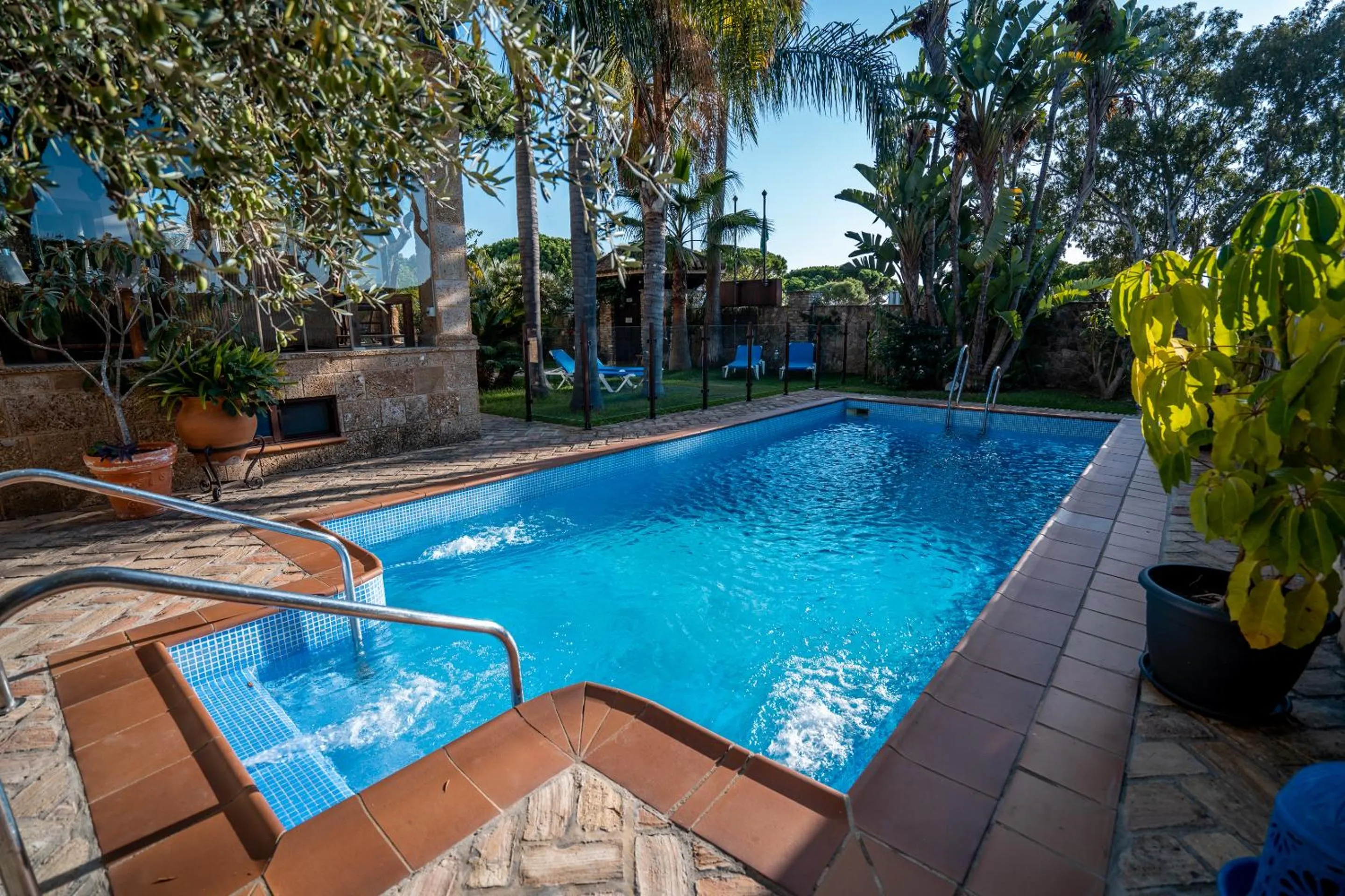 Garden in Hotel Azalea Playa