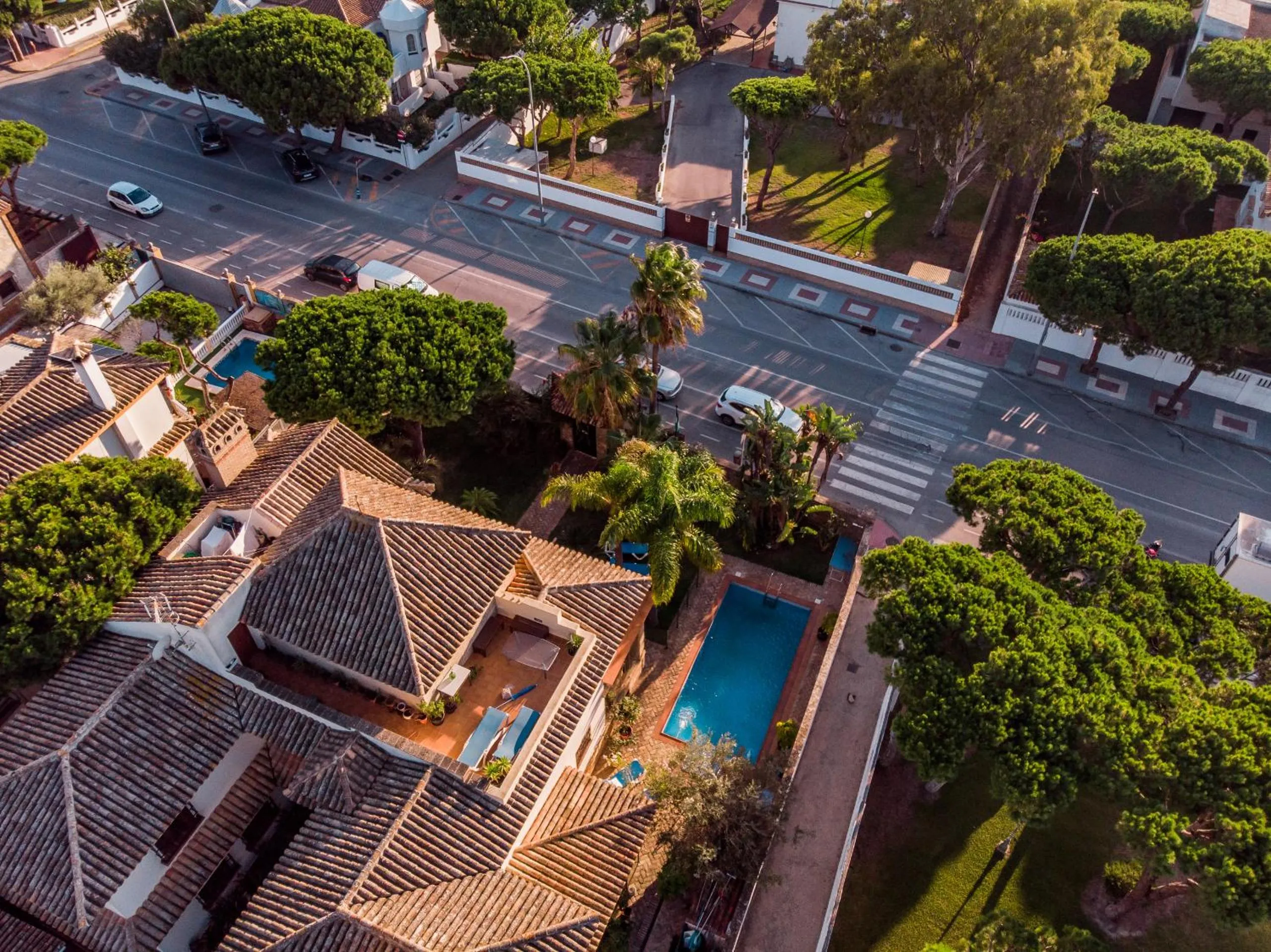 Property building in Hotel Azalea Playa