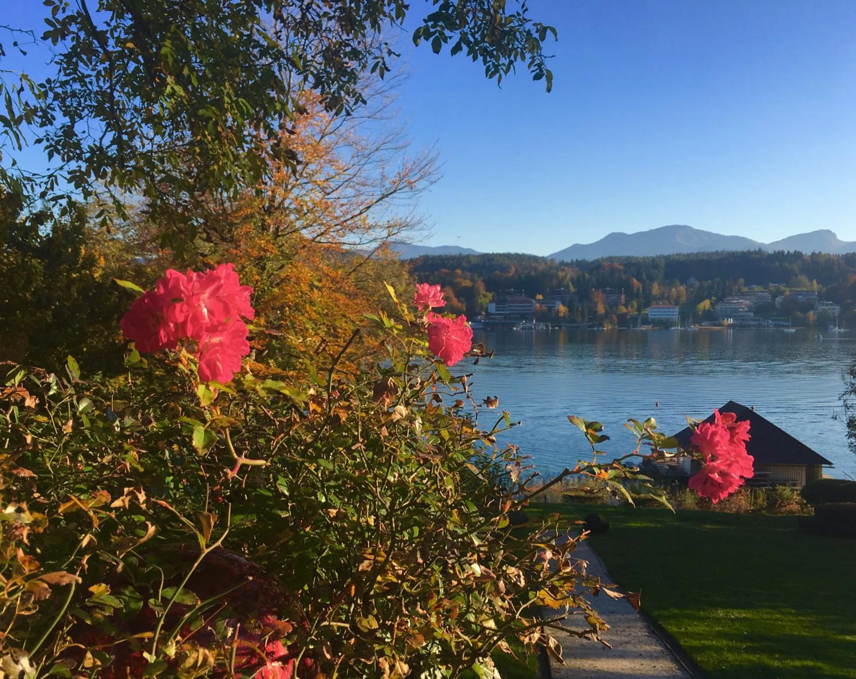 Natural landscape in Hotel Seeschlößl Velden