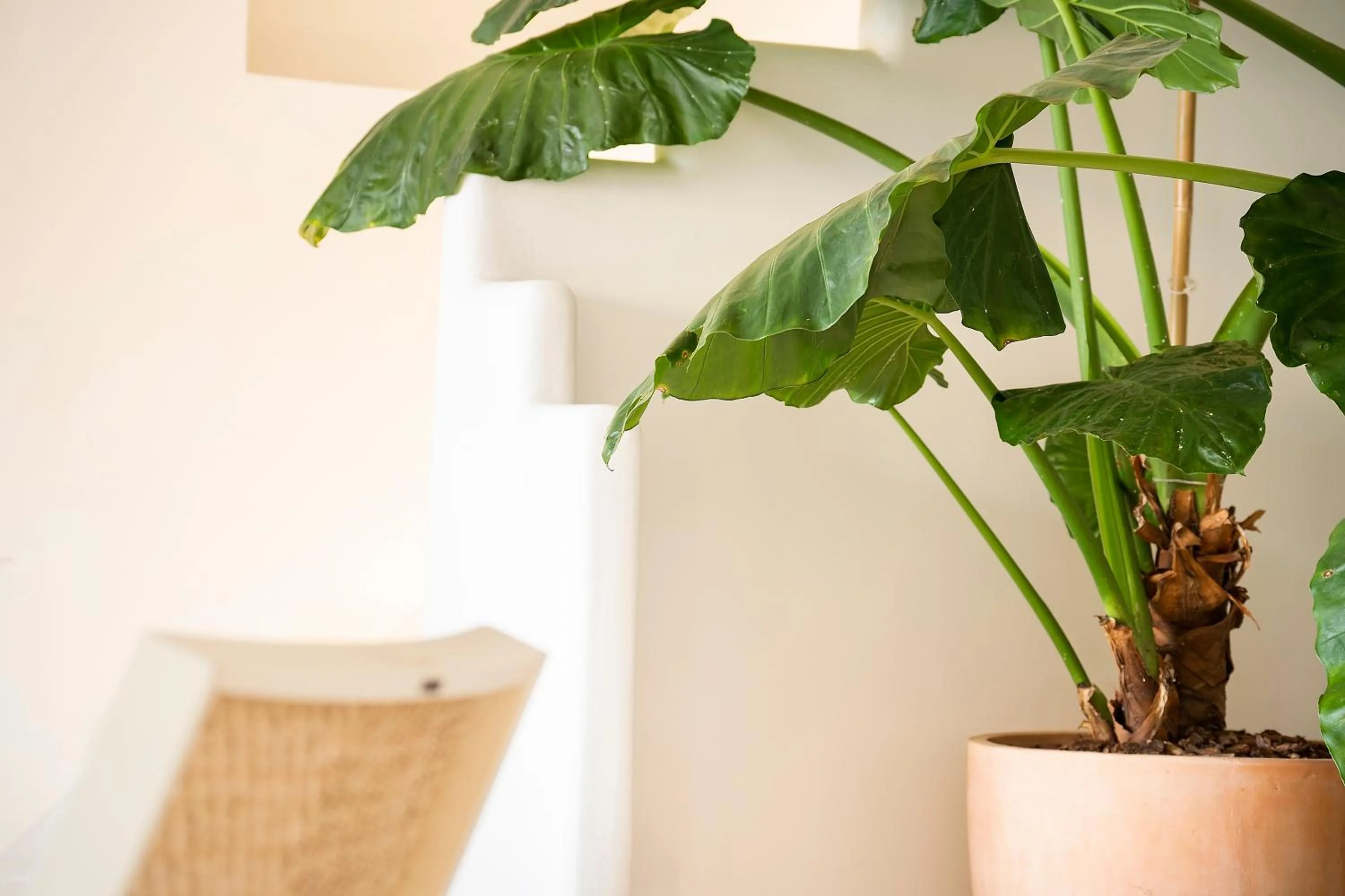 hair dresser in Miramare Sea Resort & Spa