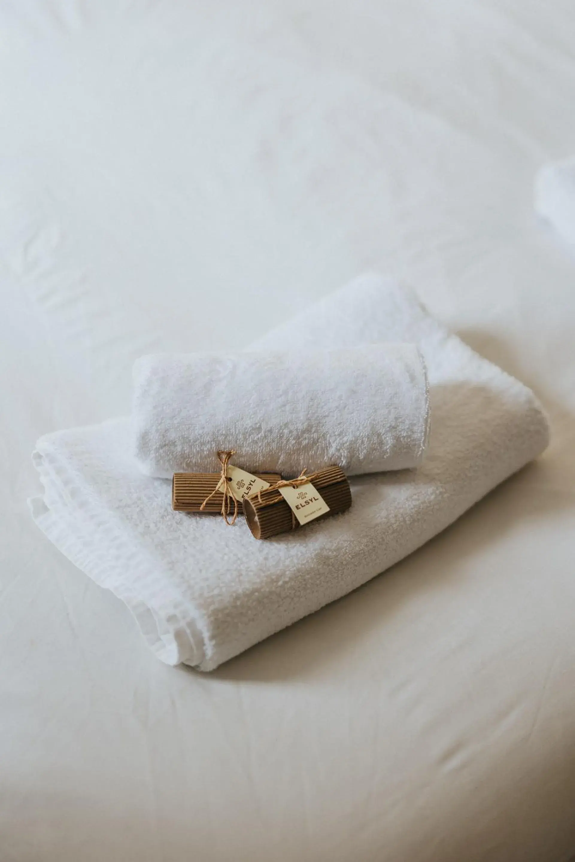 Single Room - single occupancy in Y Pengwern Single Room - single occupancy in Y Pengwern