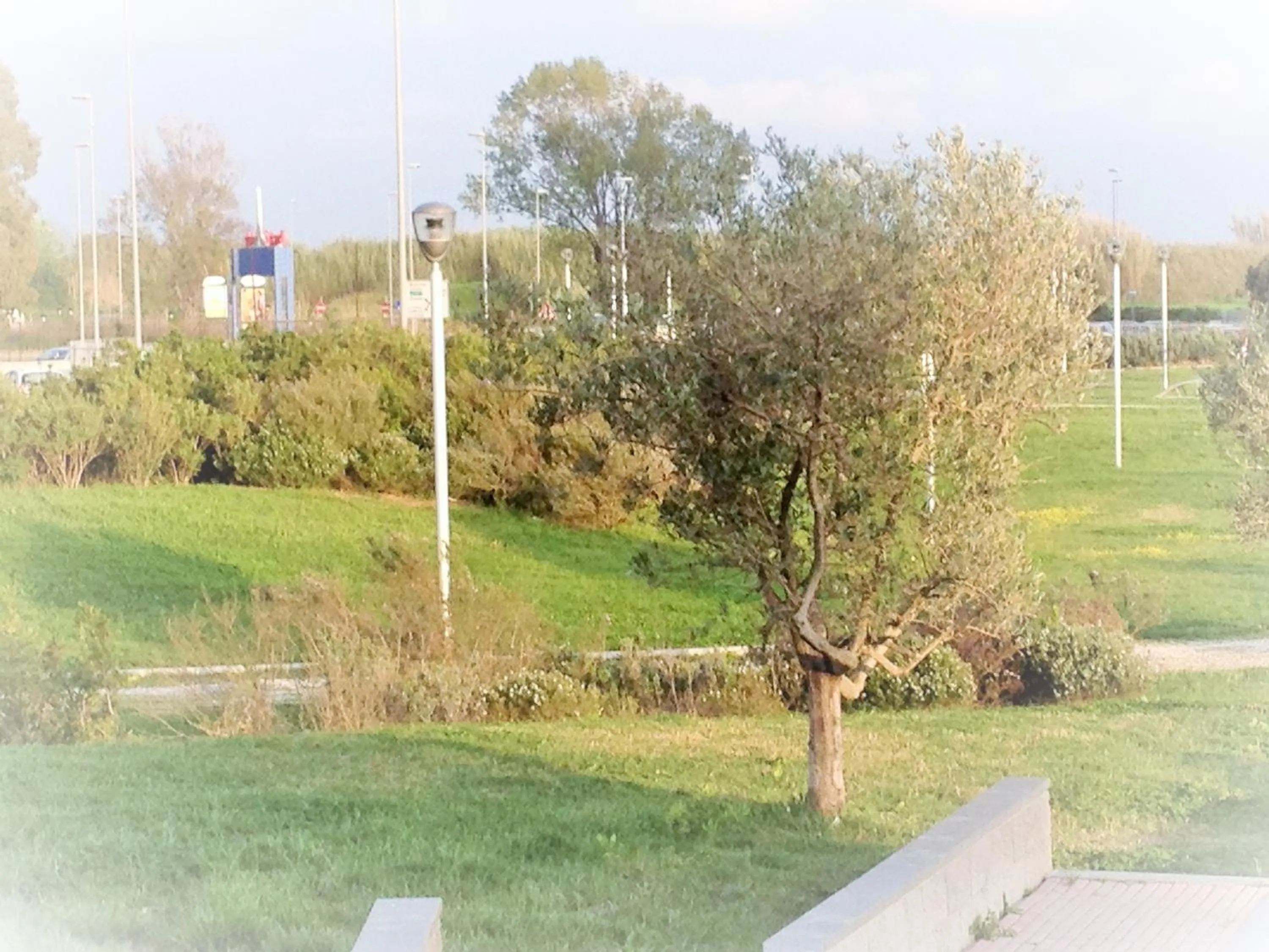 Neighbourhood in Domus al Parco Guest House