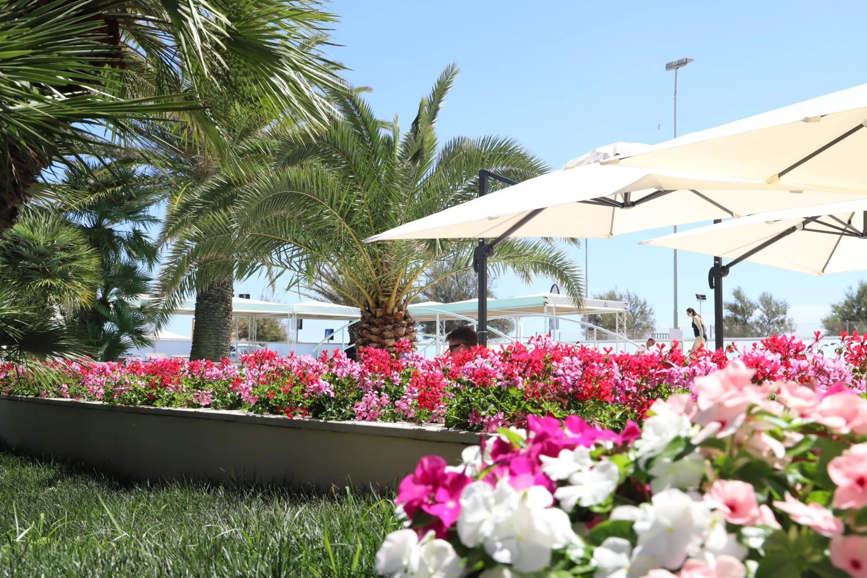 Swimming pool in Hotel Metropol