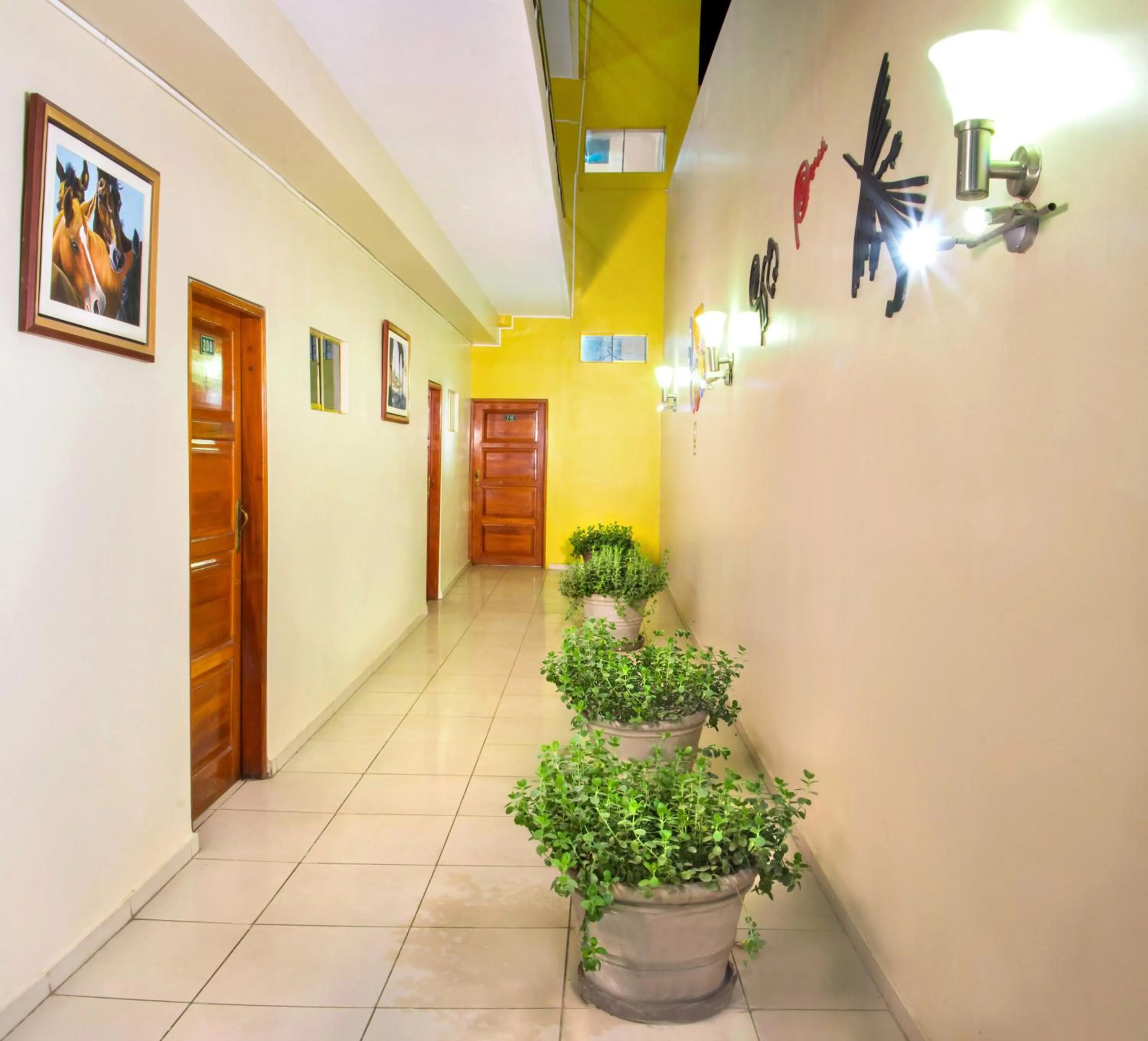 Patio in Hotel Colon Plaza