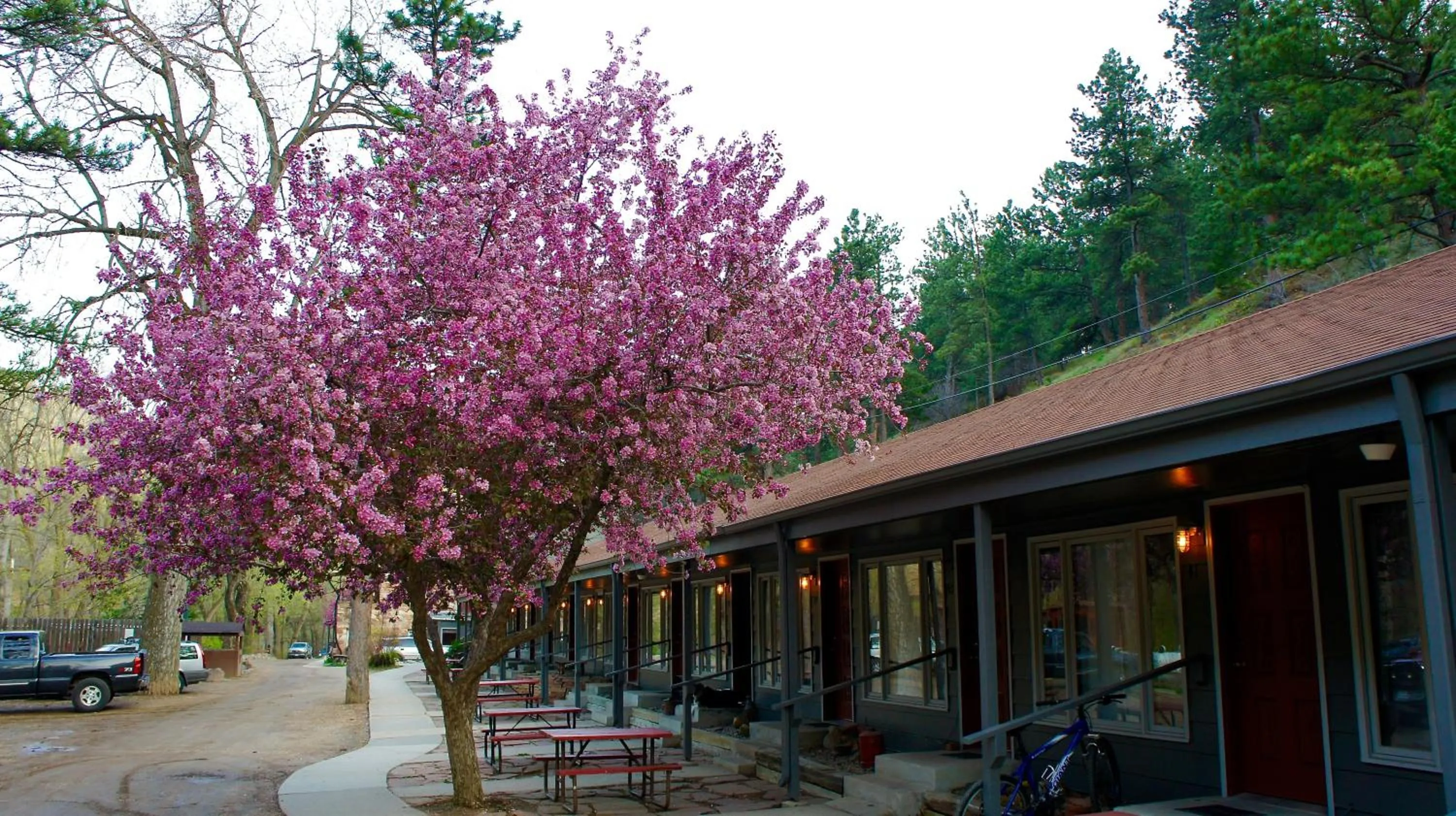 Property building in A-Lodge Boulder