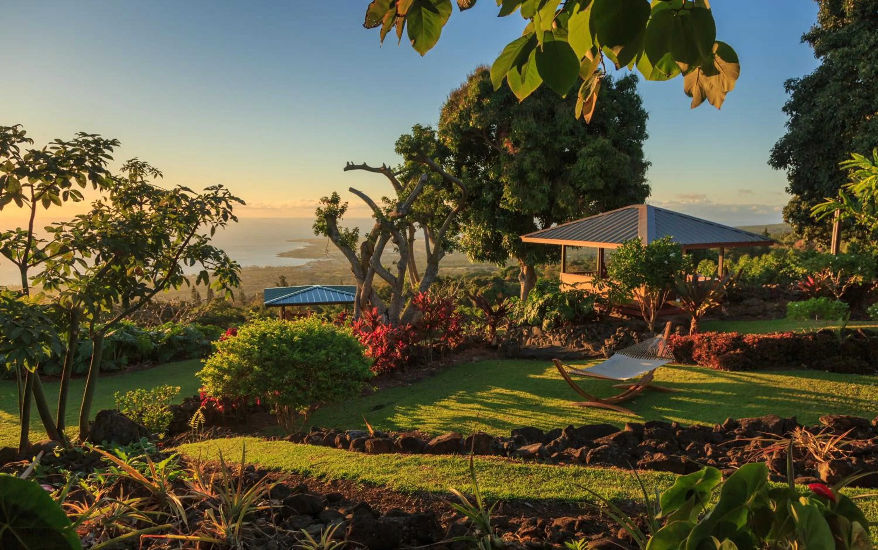 Garden in Holualoa Inn