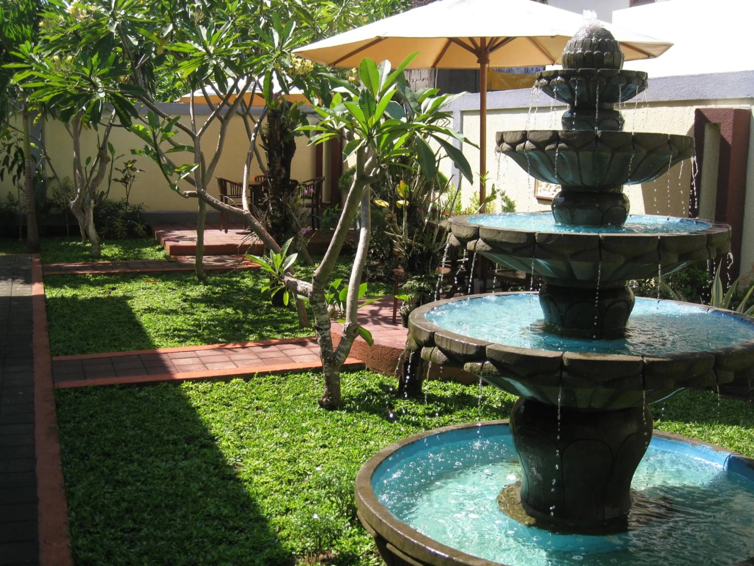 Garden view in Frangipani Homestay