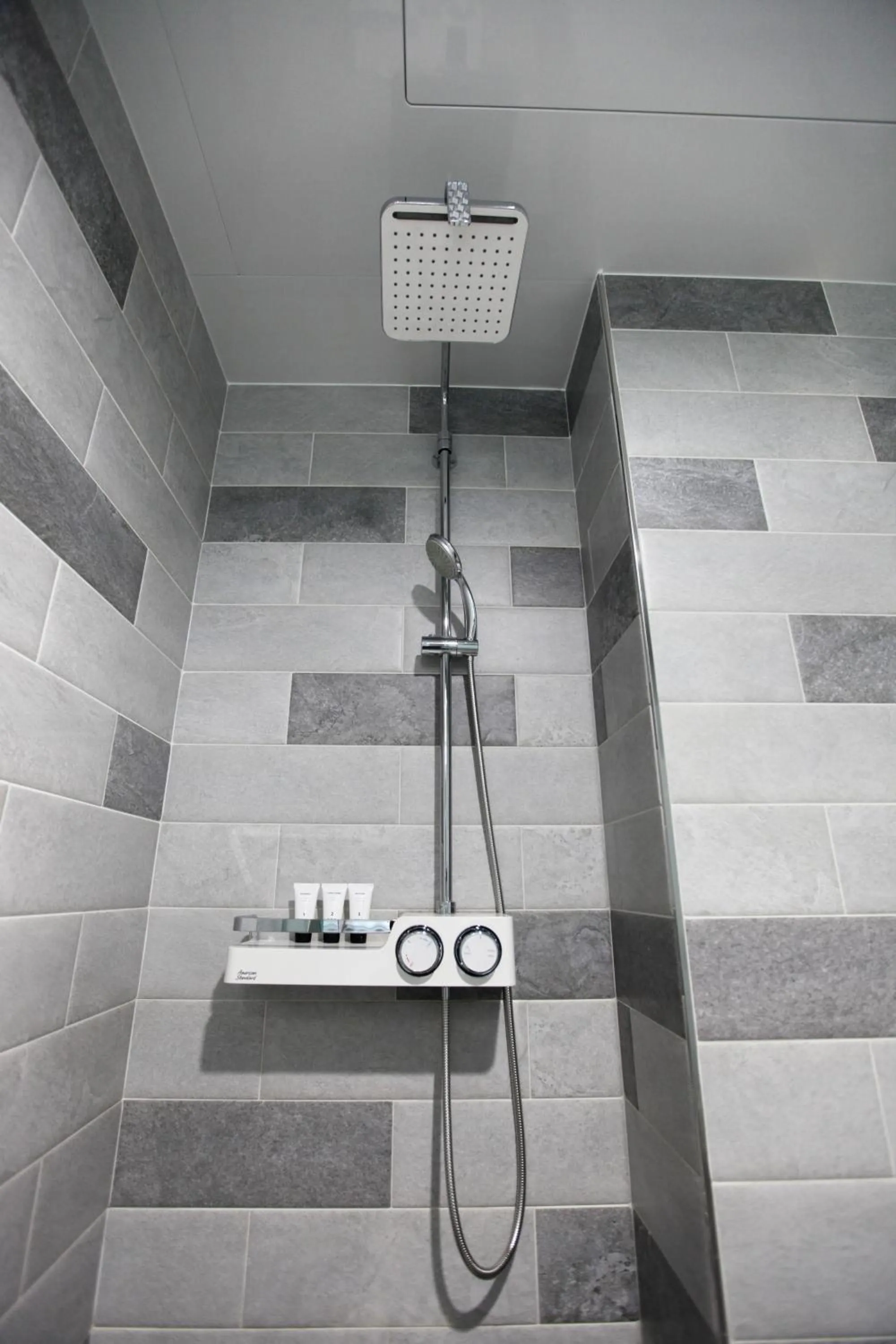 Shower in Eins Hotel