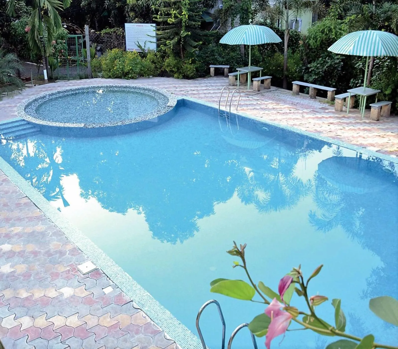 Swimming pool in Anil Farms Gir Jungle Resort