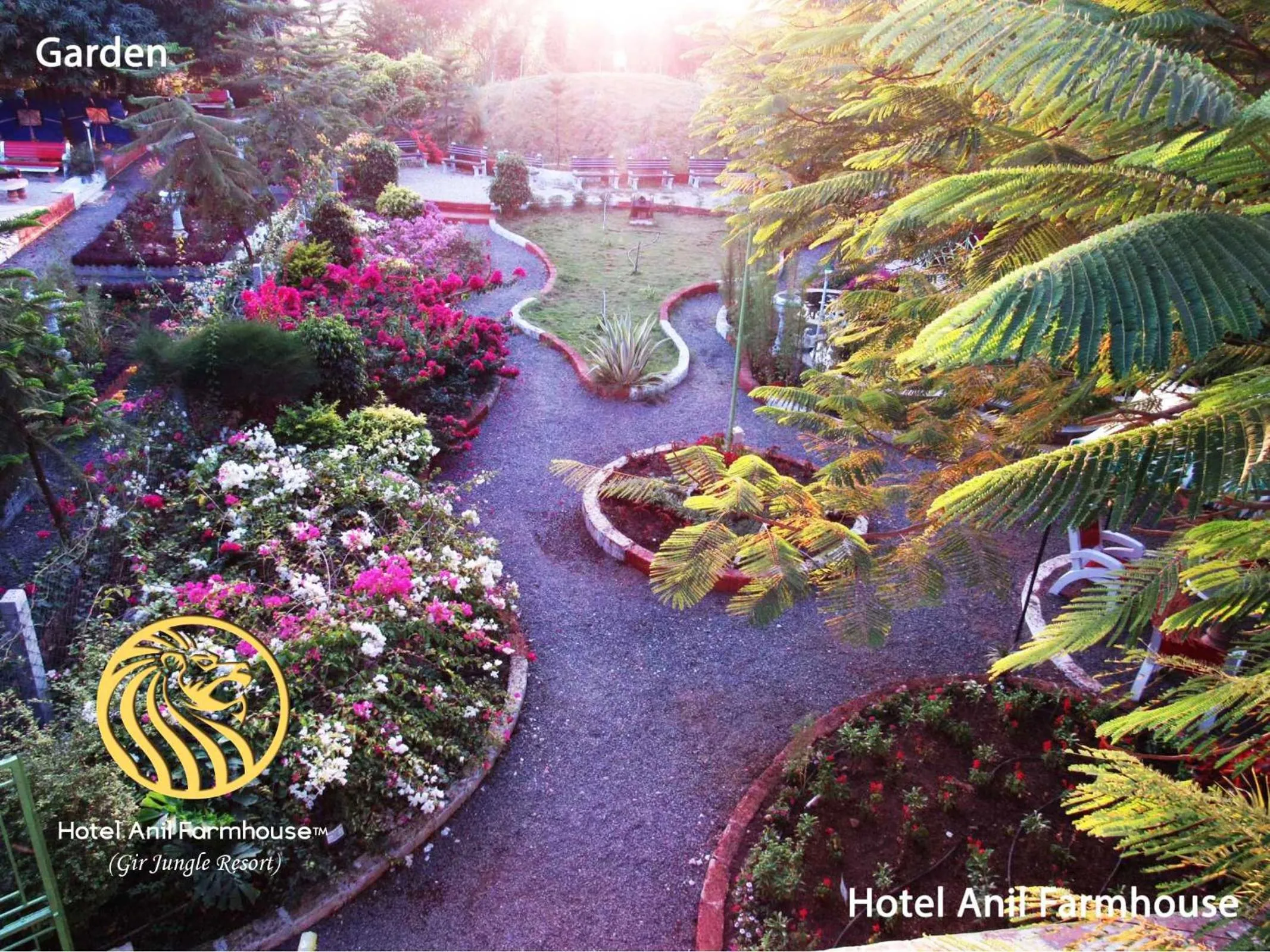 Natural landscape in Anil Farms Gir Jungle Resort