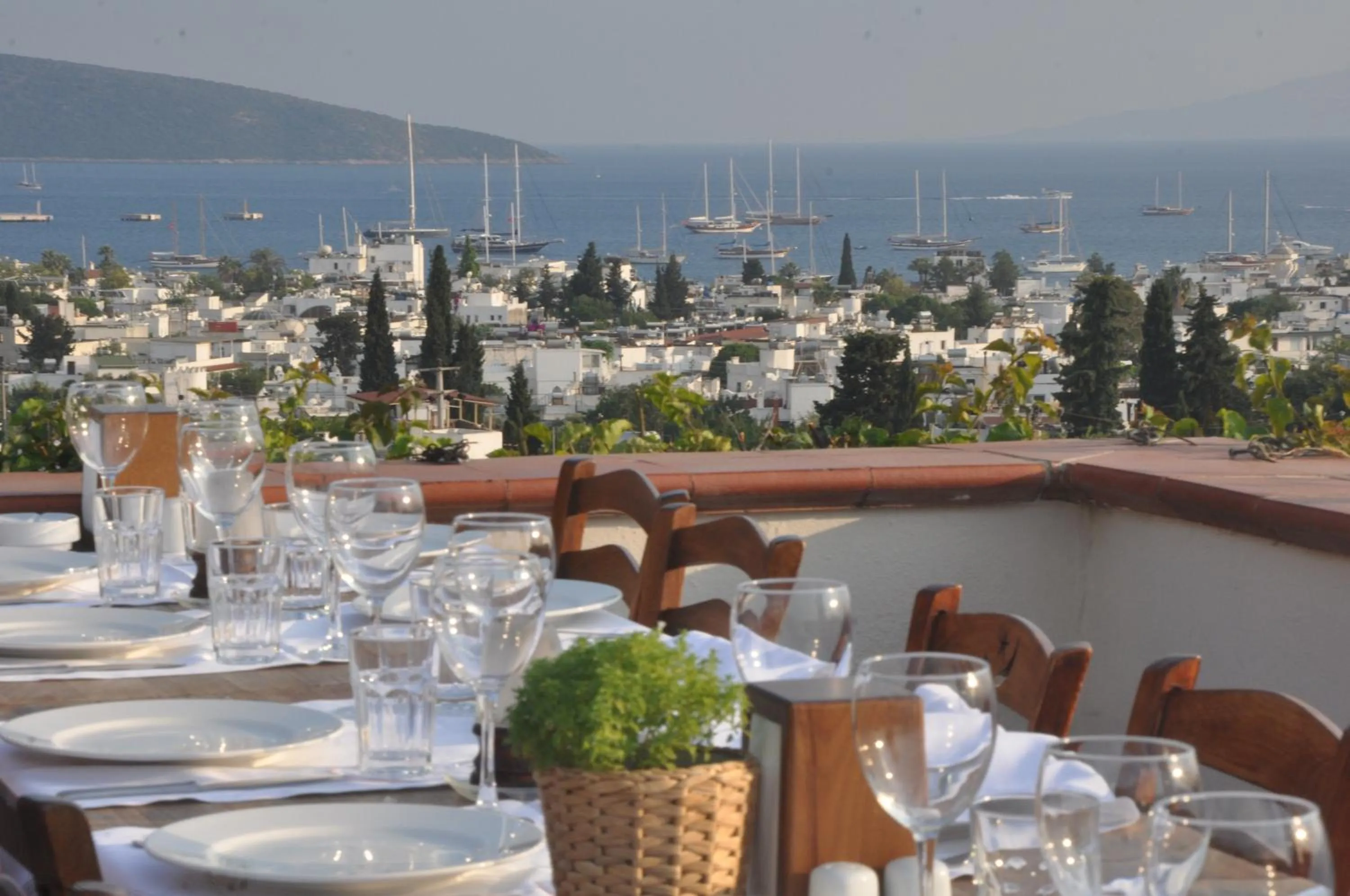 Restaurant/places to eat in El Vino Hotel & Suites