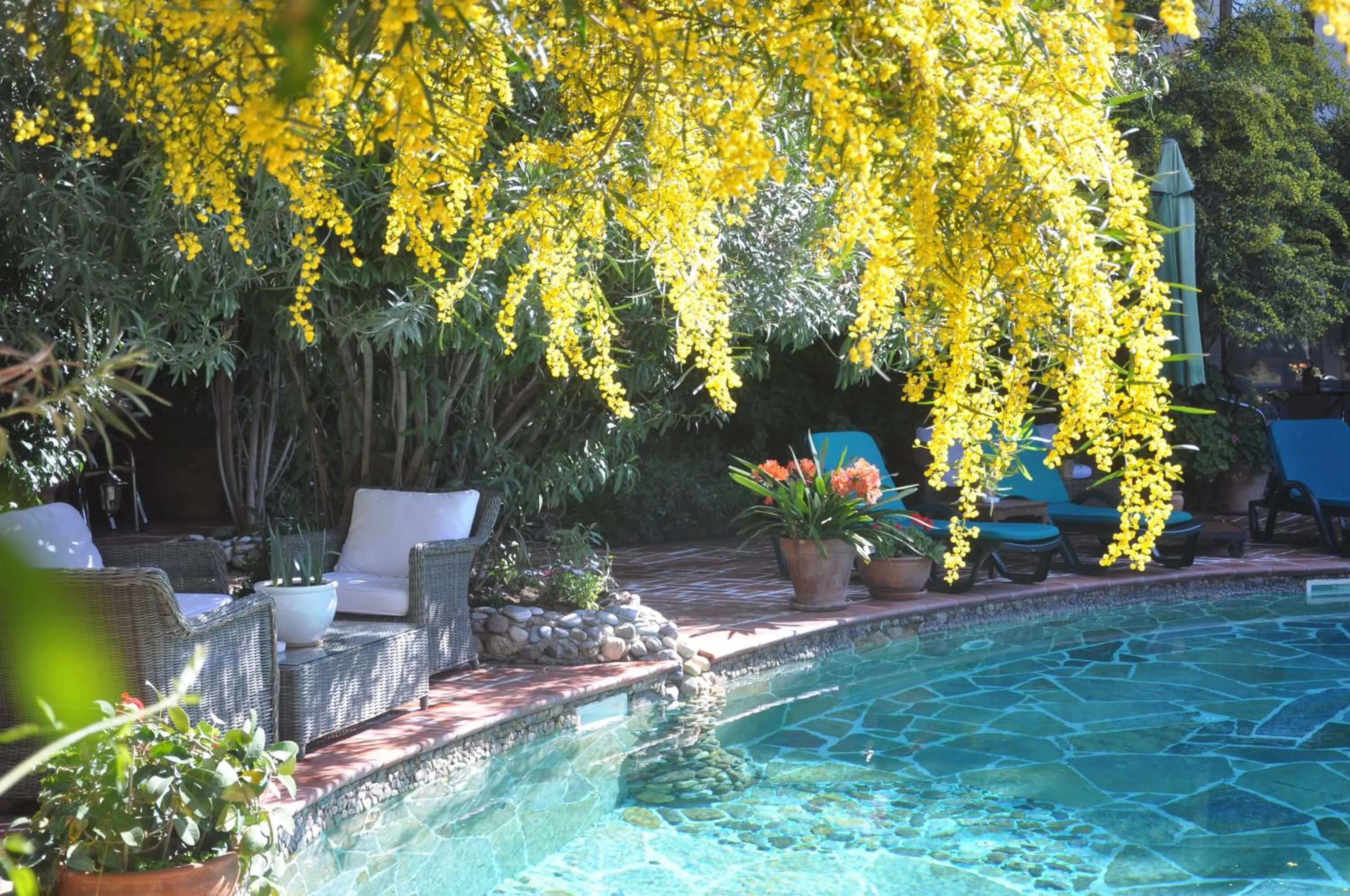 Swimming pool in El Vino Hotel & Suites