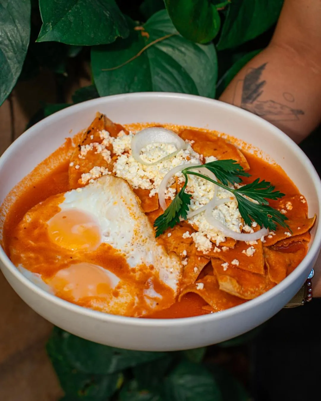 Restaurant/places to eat in Hotel Casa Vertiz