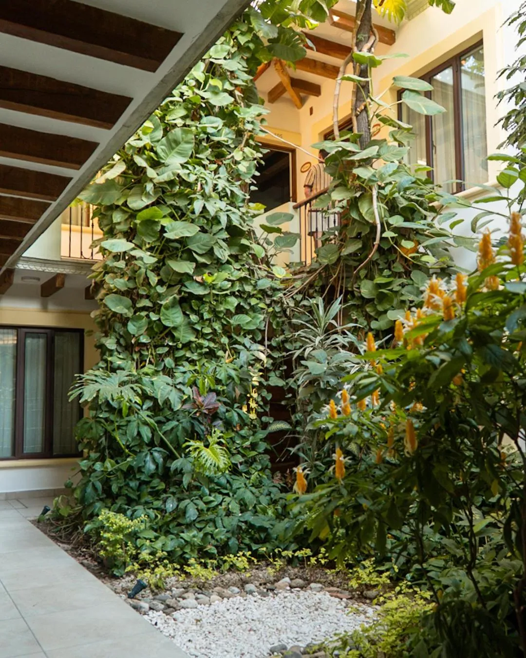 Garden in Hotel Casa Vertiz