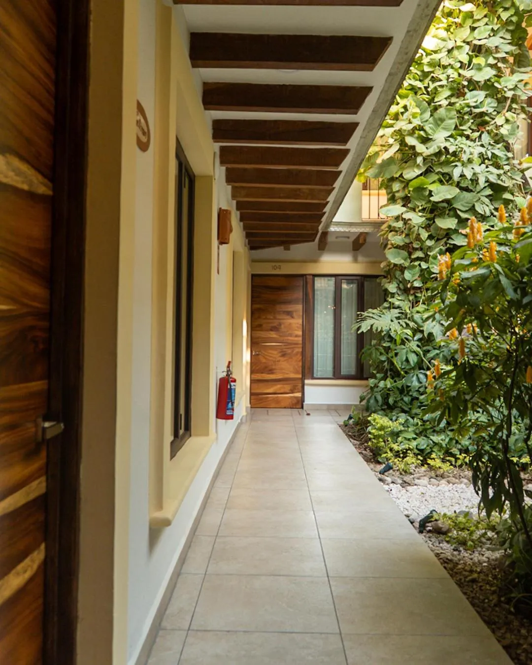 Garden in Hotel Casa Vertiz