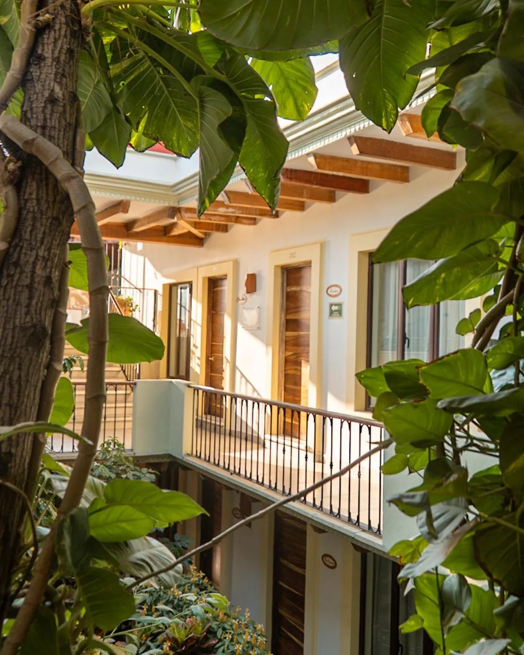 Balcony/Terrace in Hotel Casa Vertiz