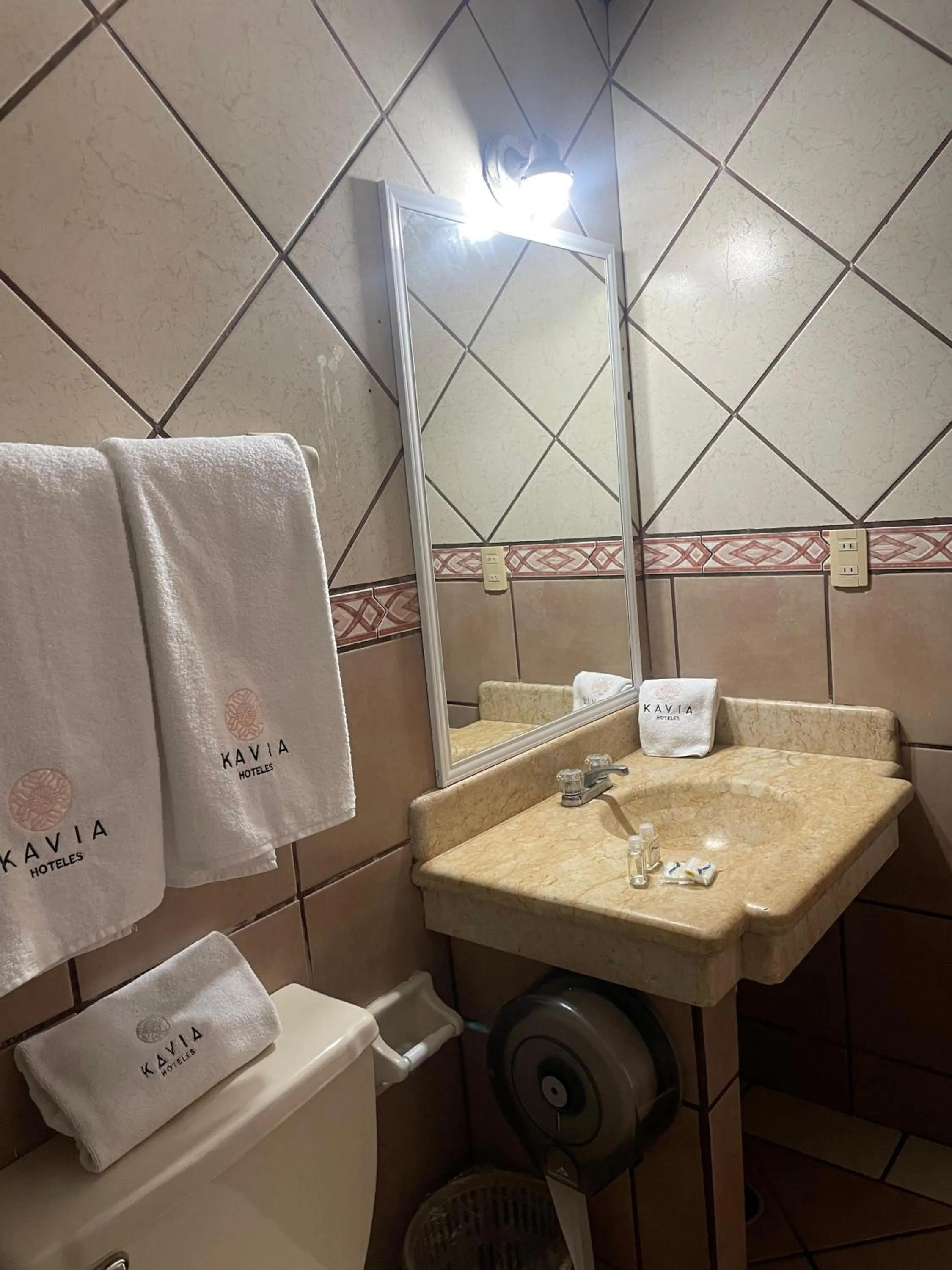 Toilet in Hotel Vistamar