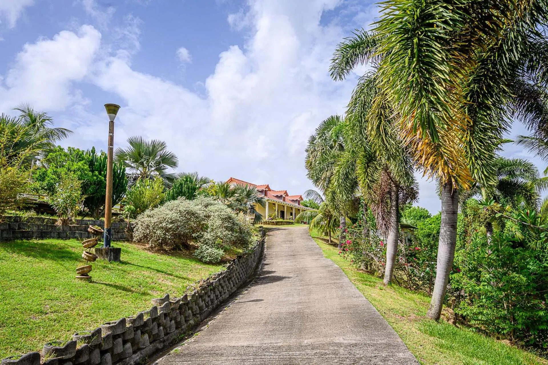 View (from property/room) in Bed and breakfast Riviere