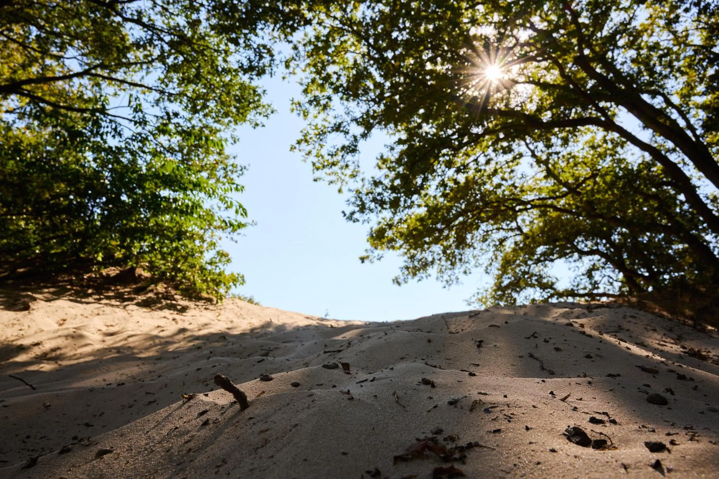 Nearby landmark in Sandberghe - Een plek om te verdwalen