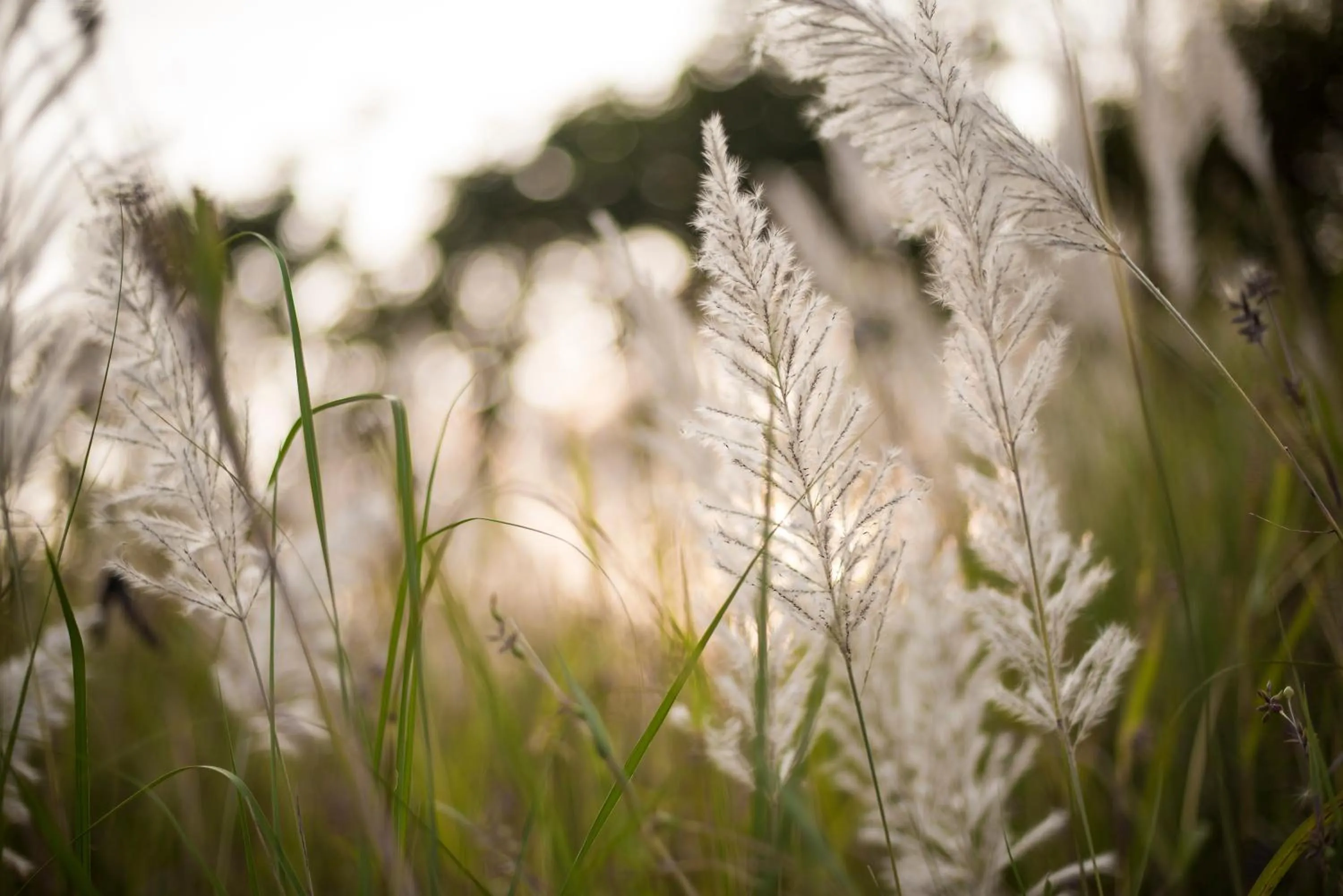 Other in Casa Fedora Holiday Home